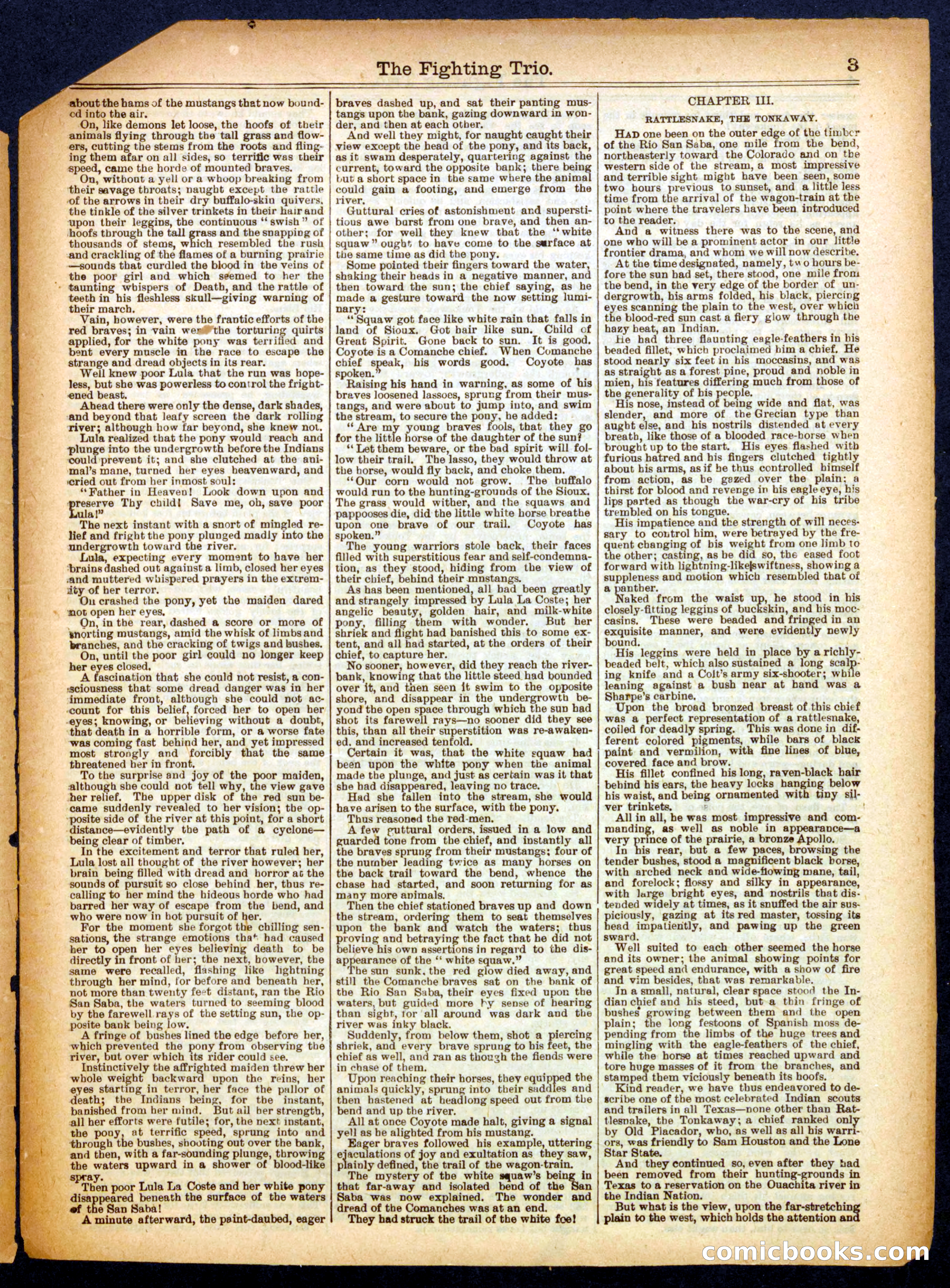 Beadle's Half Dime Library No. 344 — page 3 of 16
