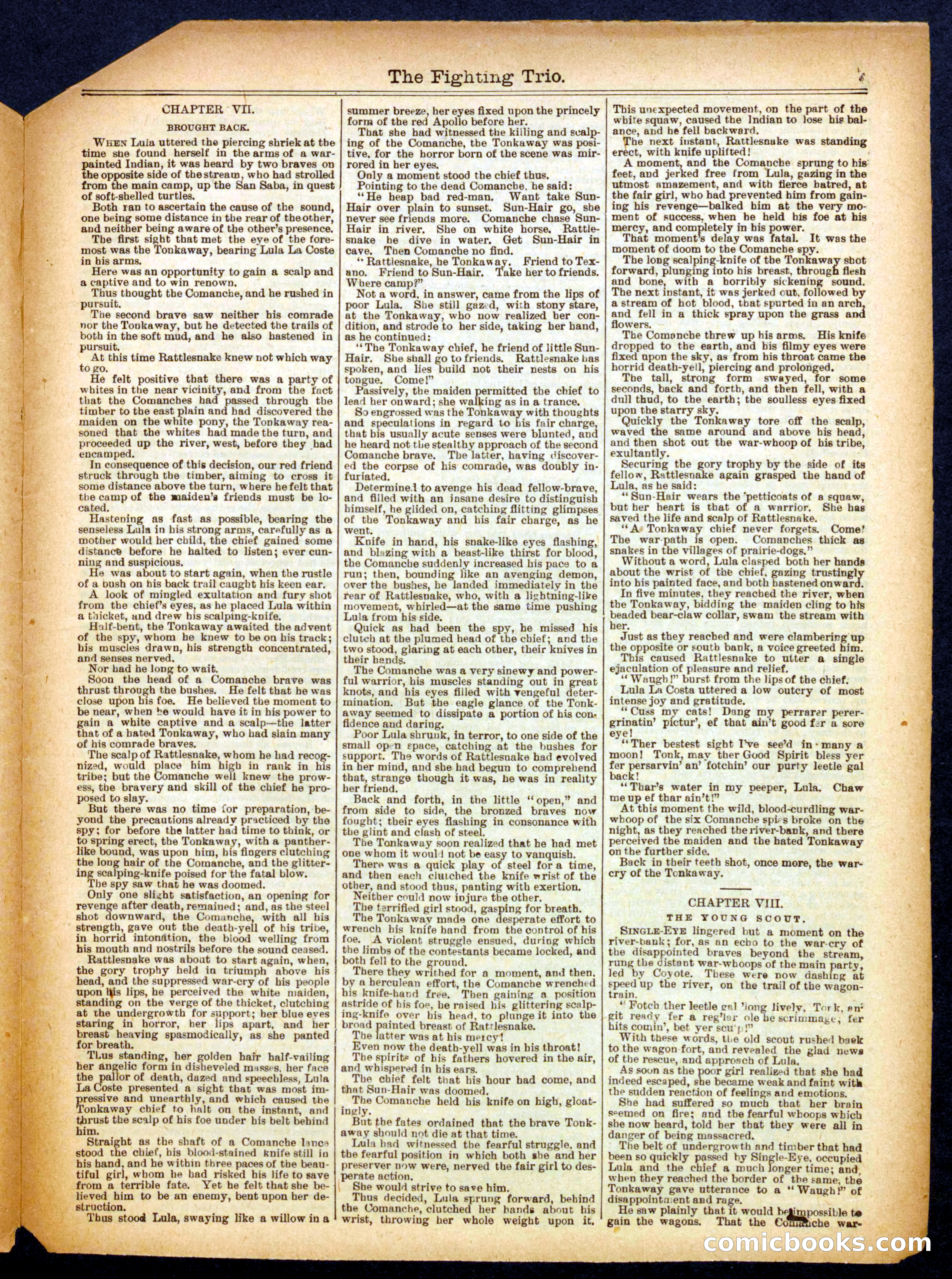 Beadle's Half Dime Library No. 344 — page 7 of 16