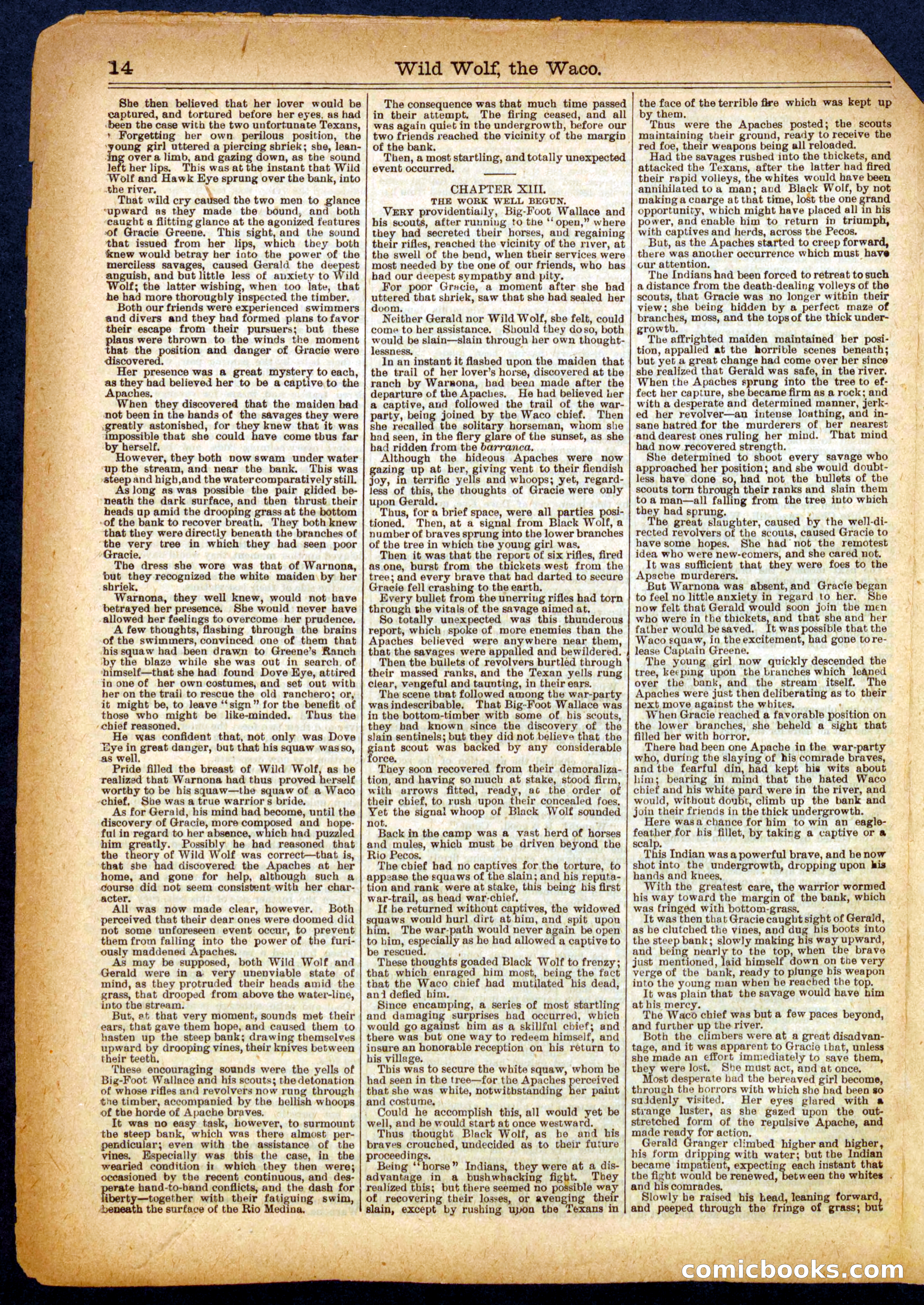 Beadle's Half Dime Library No. 349 — page 14 of 16