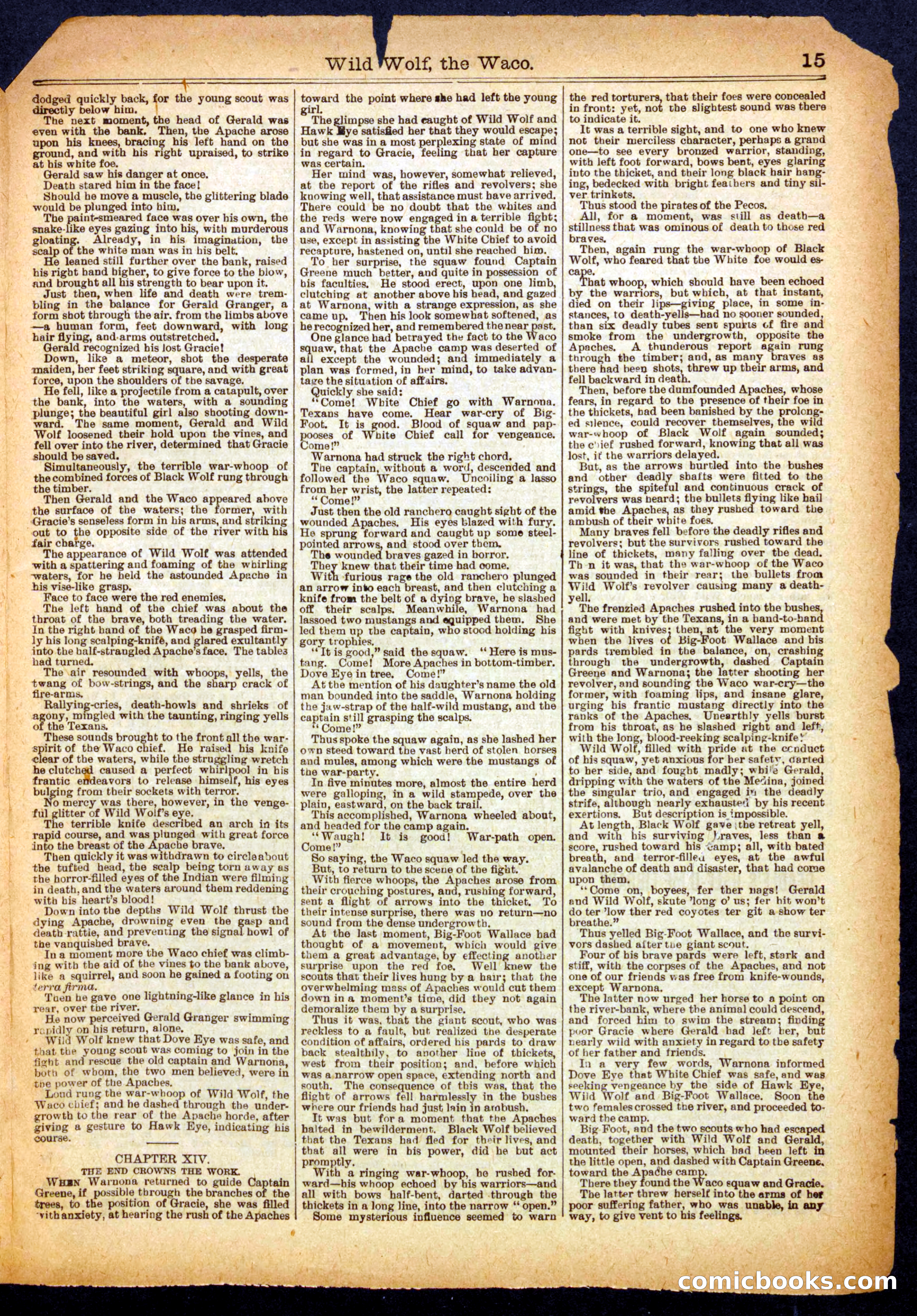 Beadle's Half Dime Library No. 349 — page 15 of 16