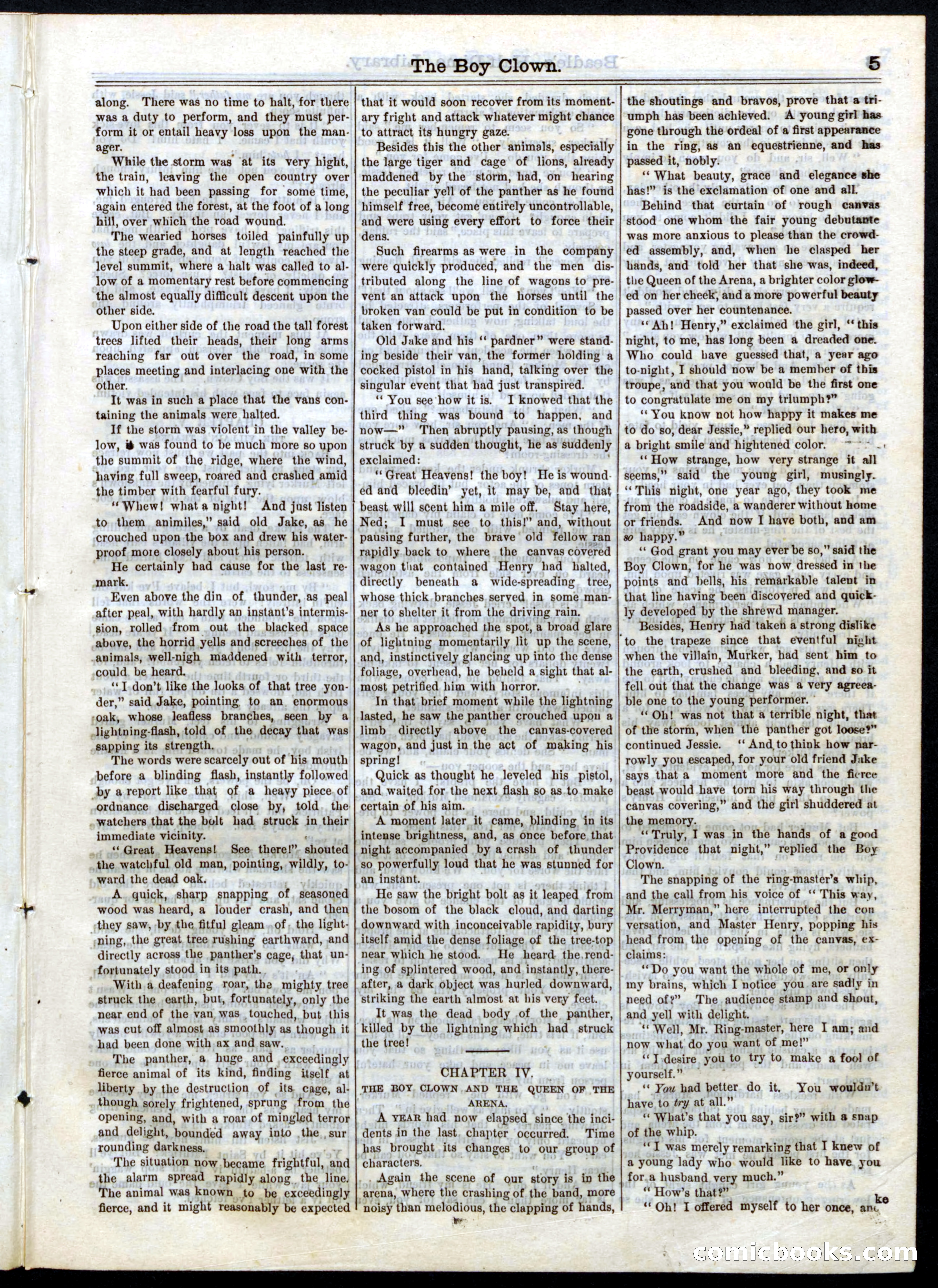Beadle's Half Dime Library, No. 36 — page 5 of 16