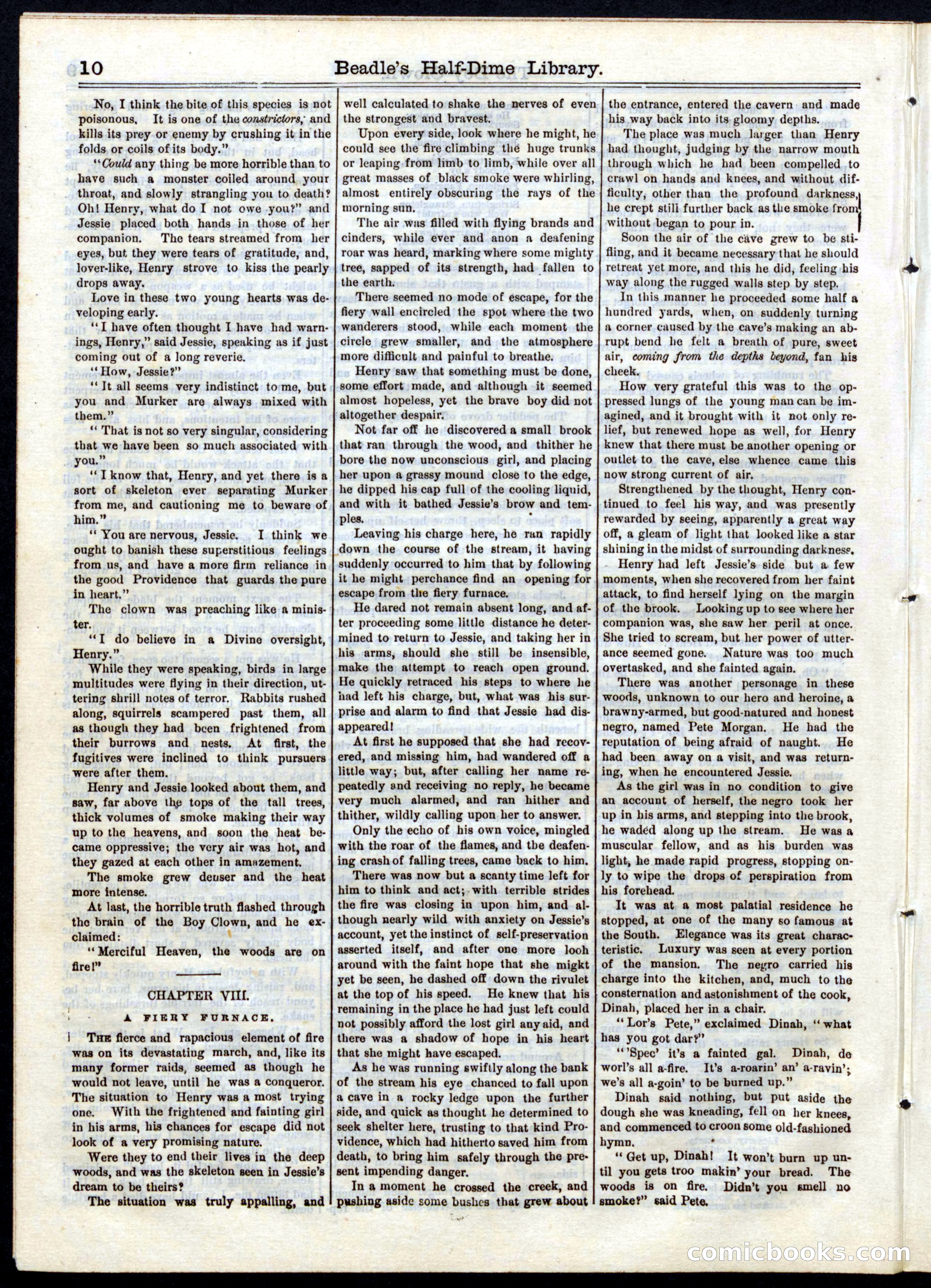 Beadle's Half Dime Library, No. 36 — page 10 of 16