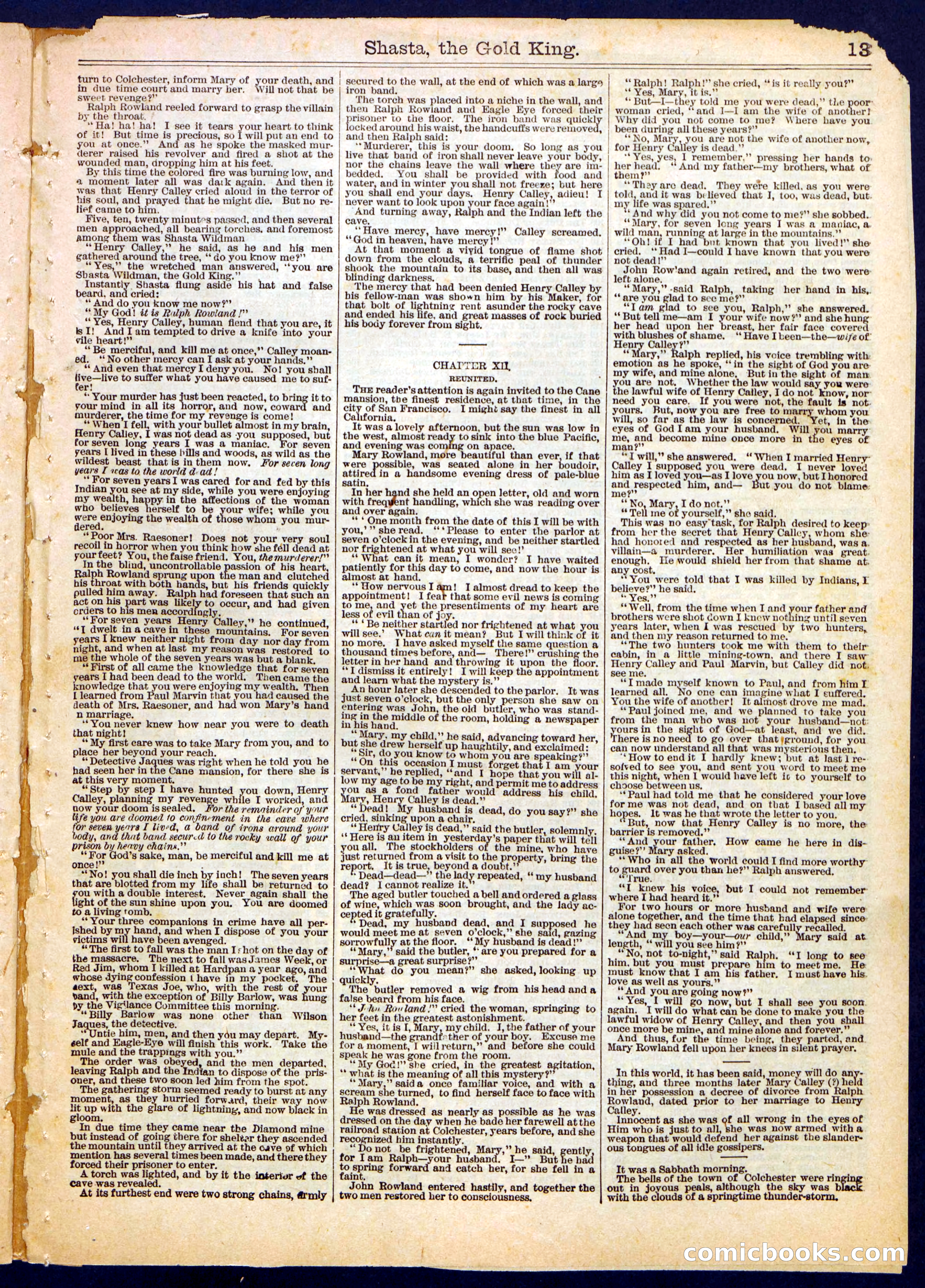 Beadle's Half Dime Library No. 369 — page 13 of 16