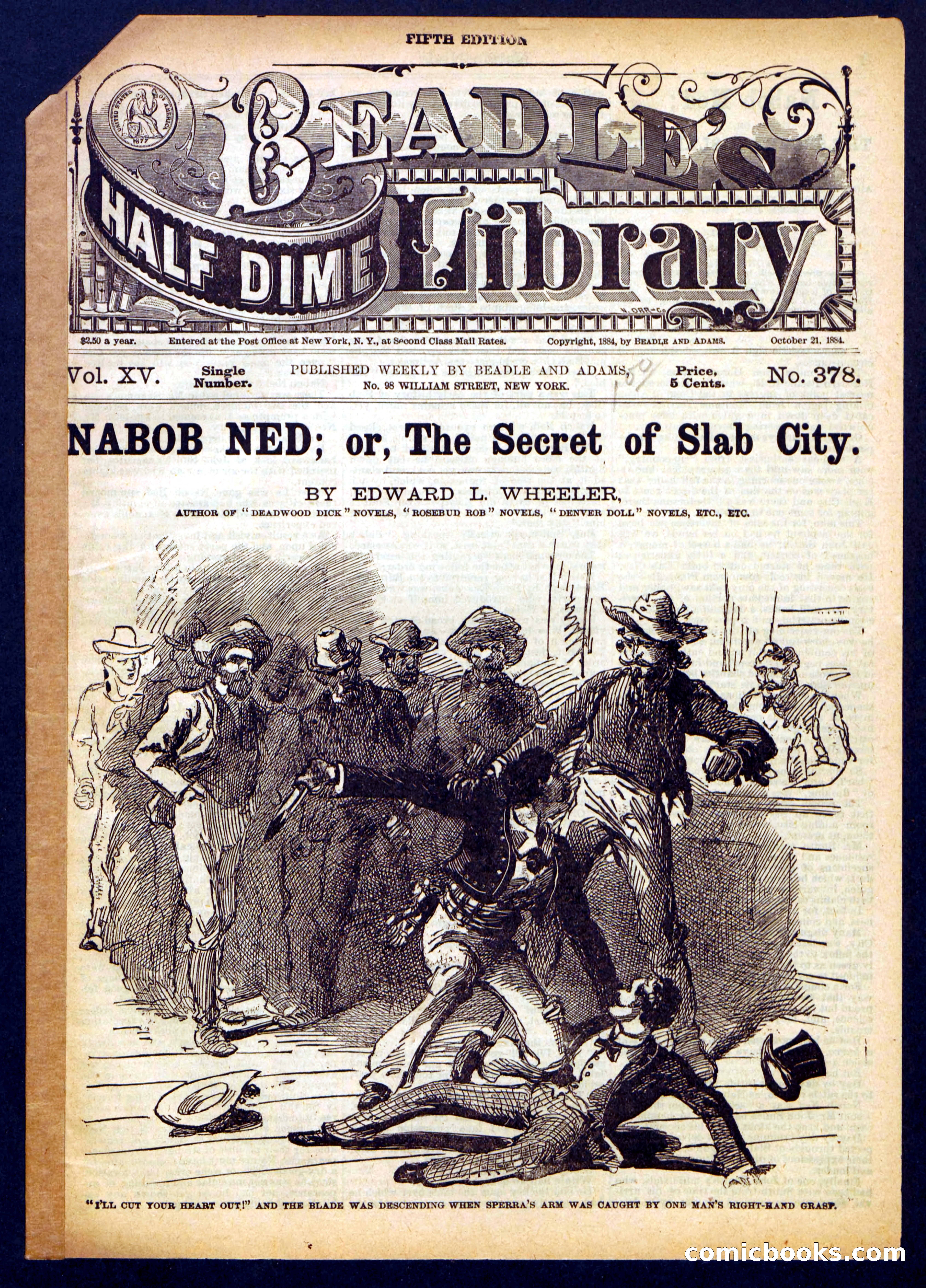 Beadle's Half Dime Library, No. 378 — page 1 of 16