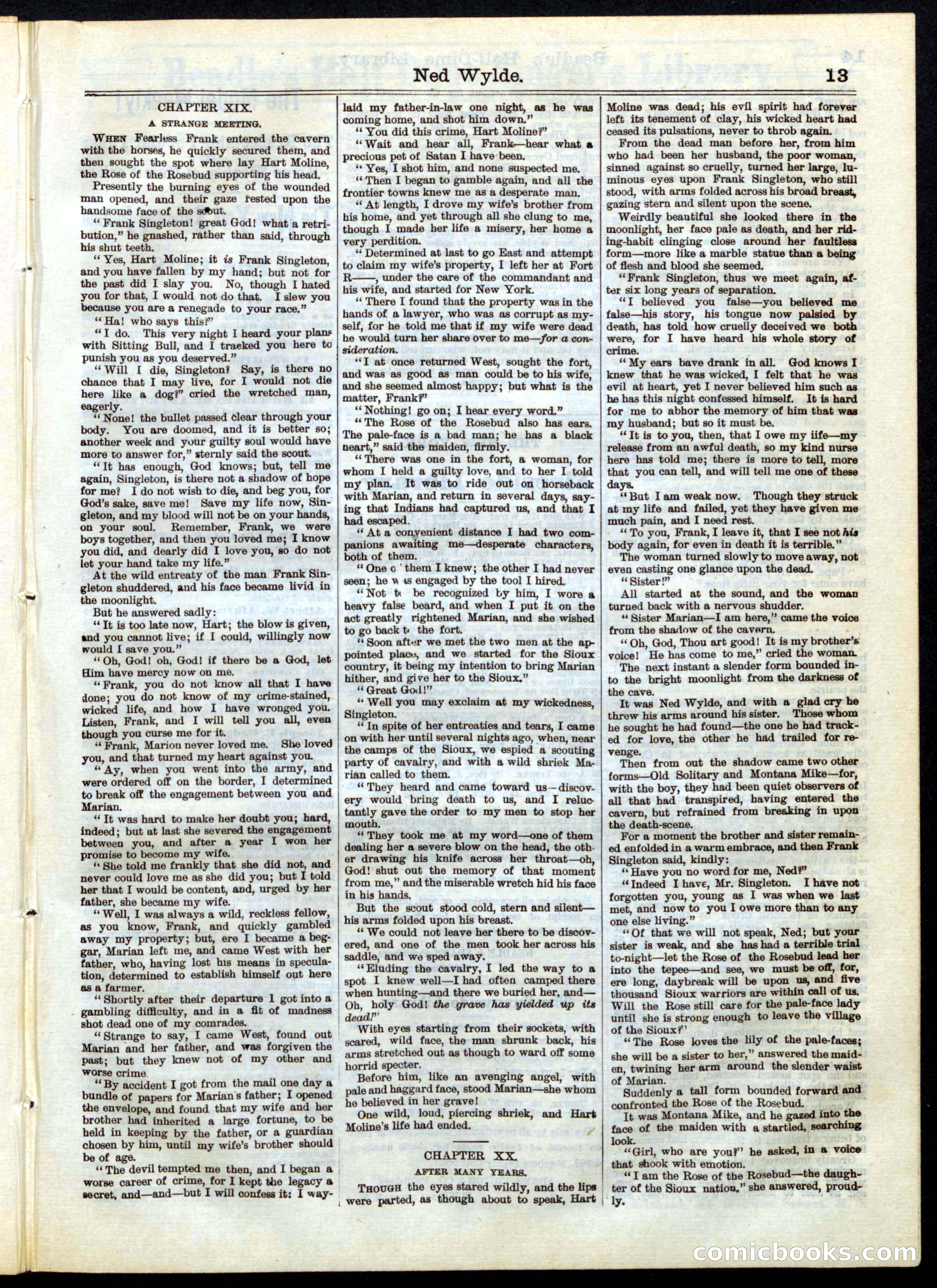 Beadle's Half Dime Library No. 38 — page 13 of 16