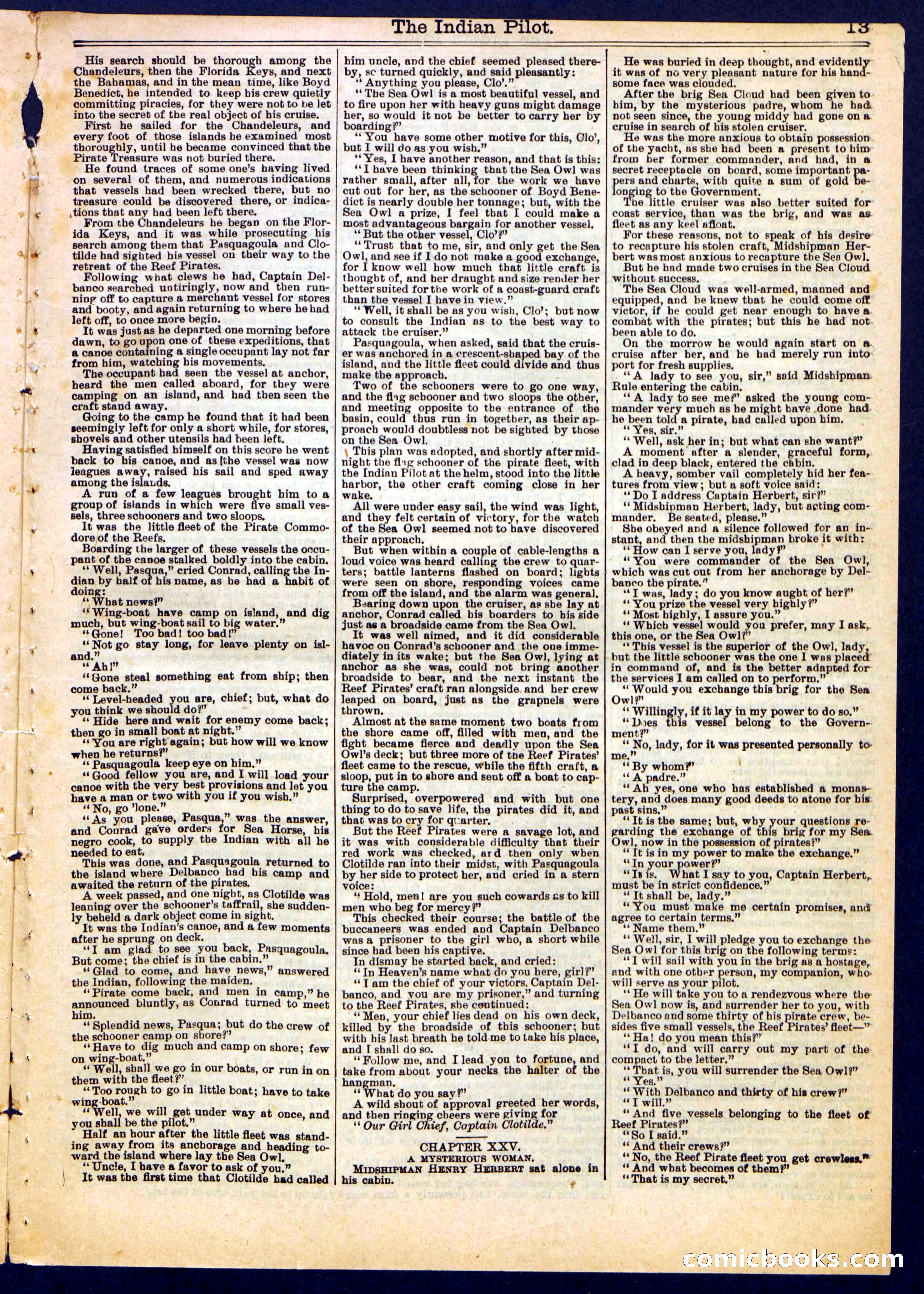 Beadle's Half Dime Library No. 383 — page 13 of 16