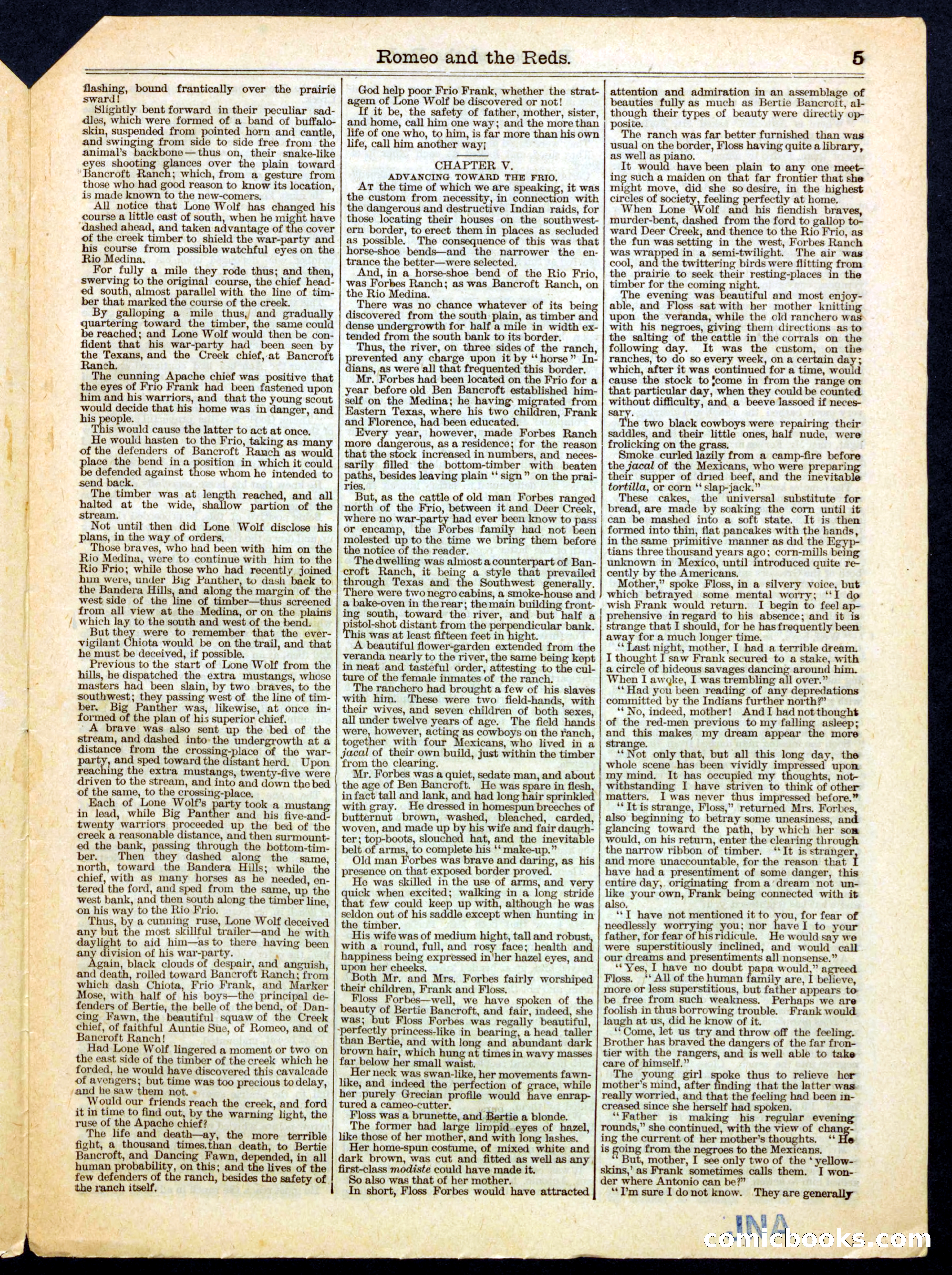 Beadle's Half Dime Library No. 392 — page 5 of 16
