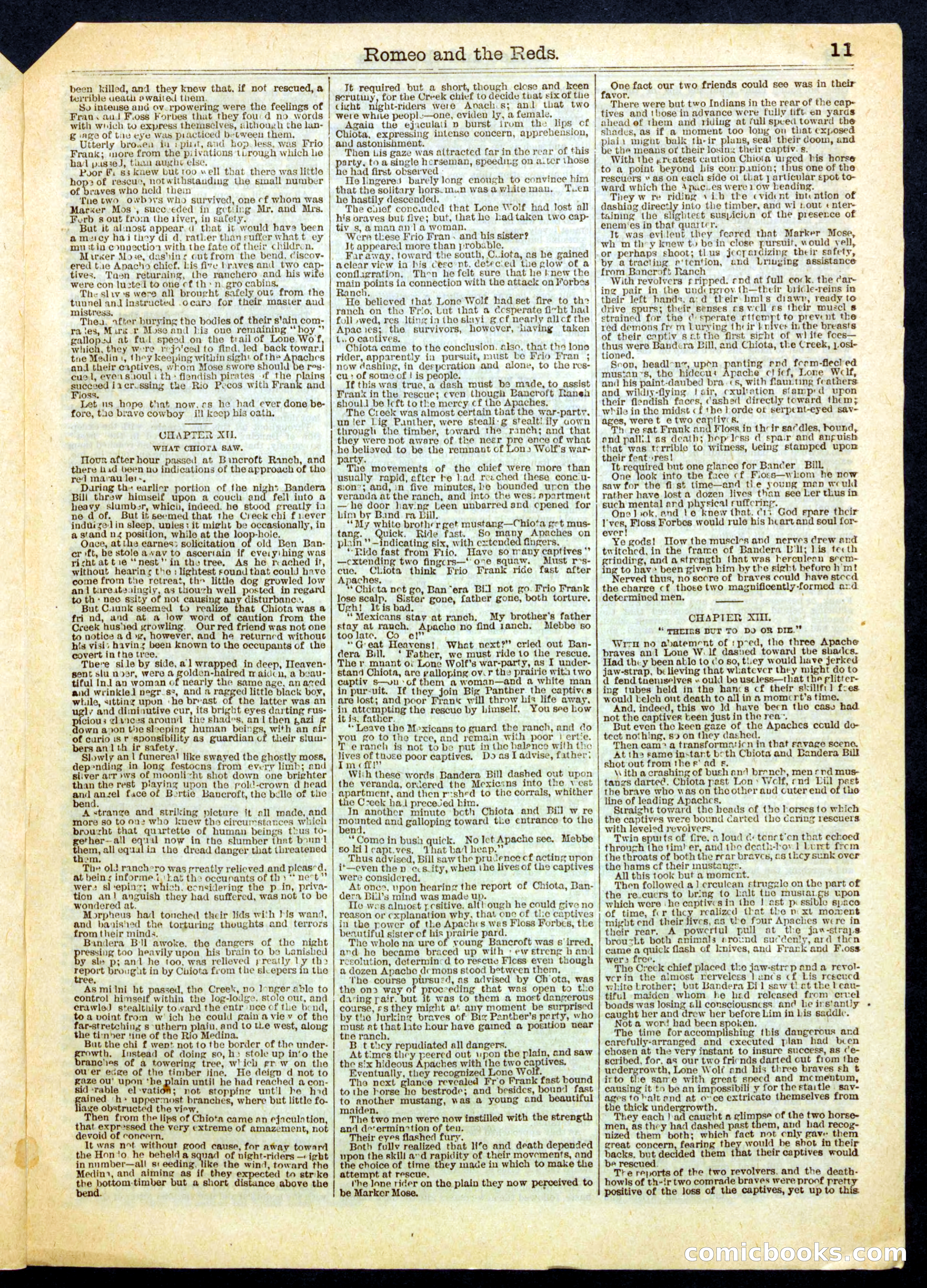 Beadle's Half Dime Library No. 392 — page 11 of 16