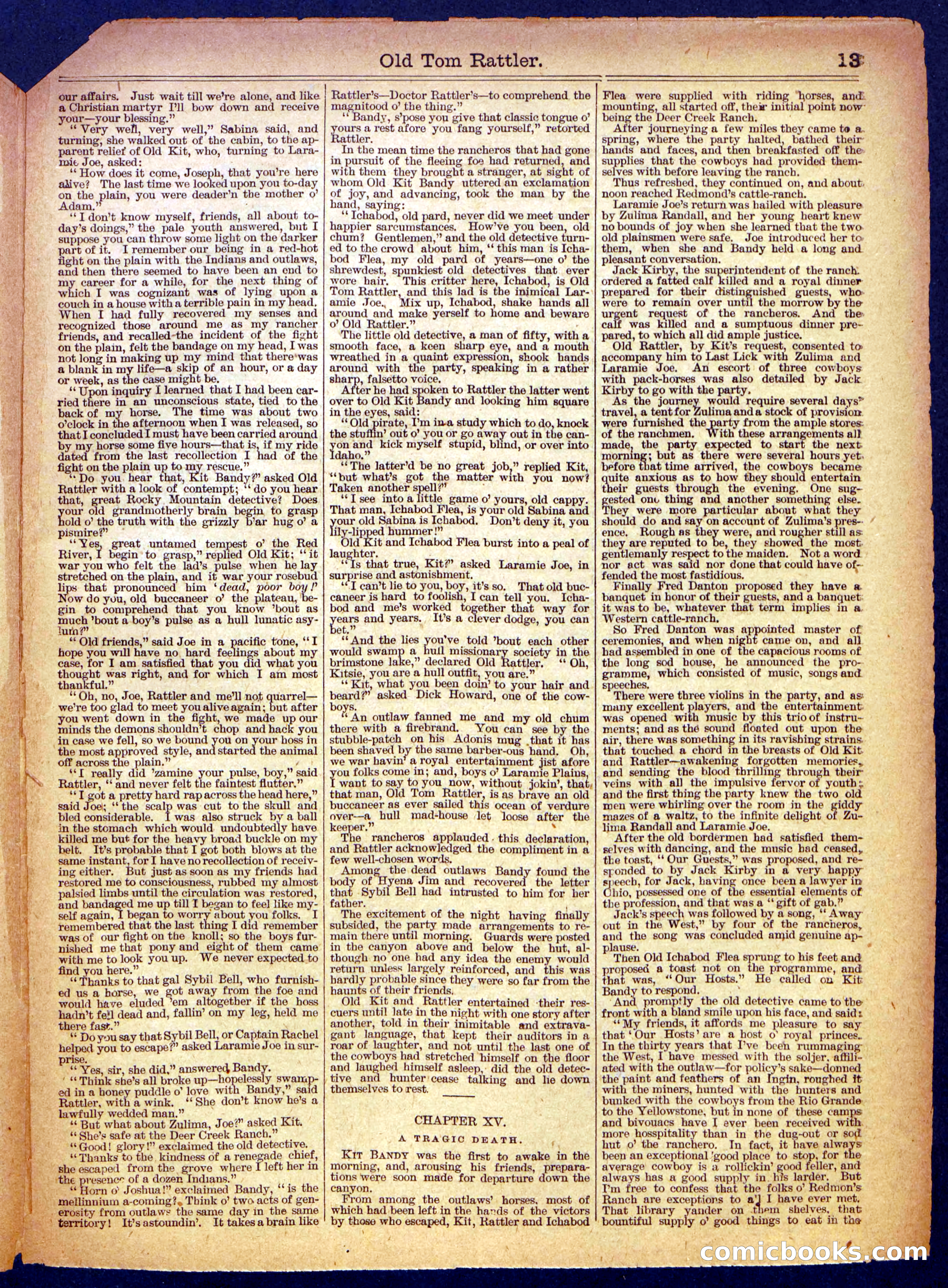 Beadle's Half Dime Library No. 478 — page 13 of 16