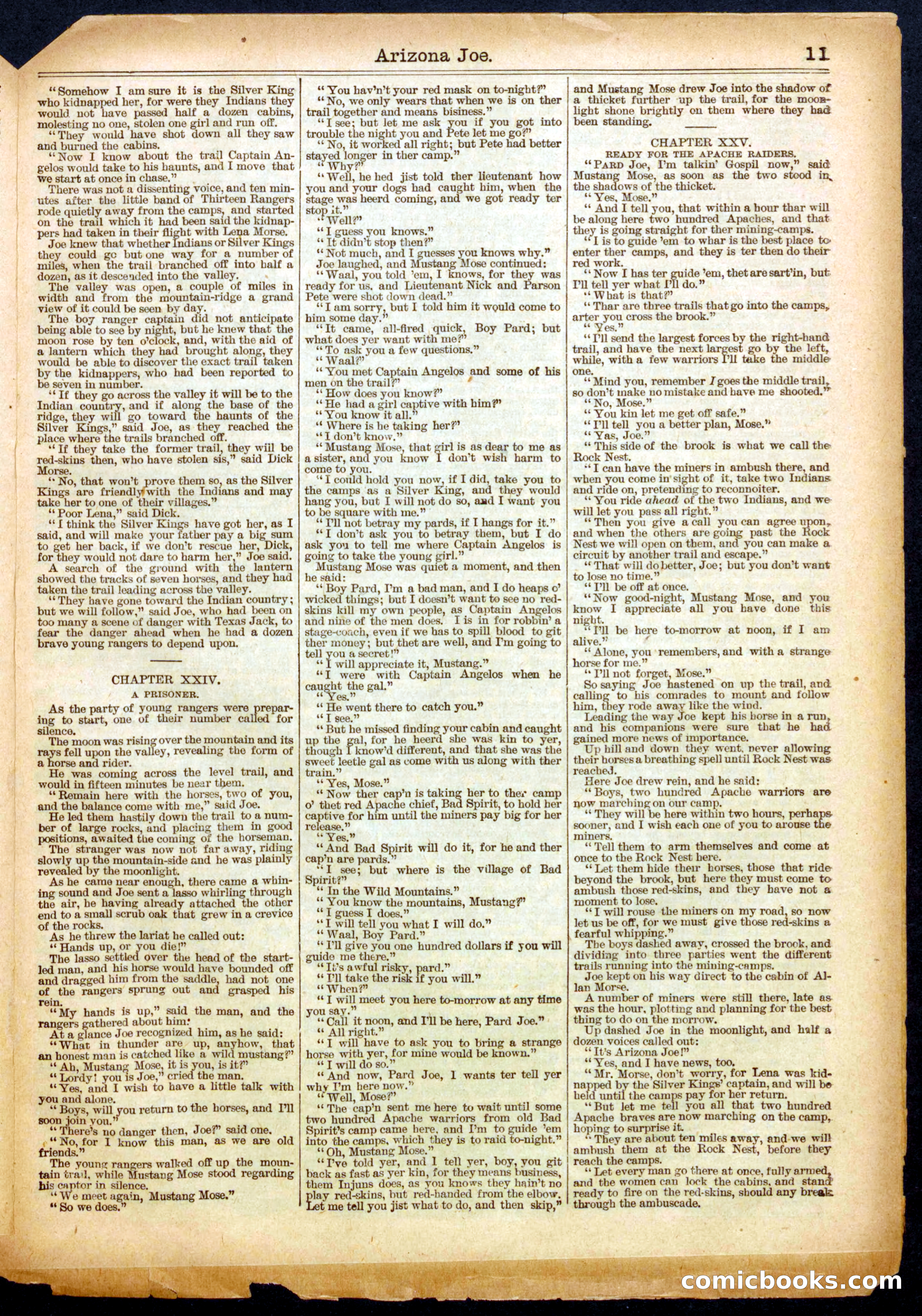 Beadle's Half Dime Library No. 495 — page 11 of 16