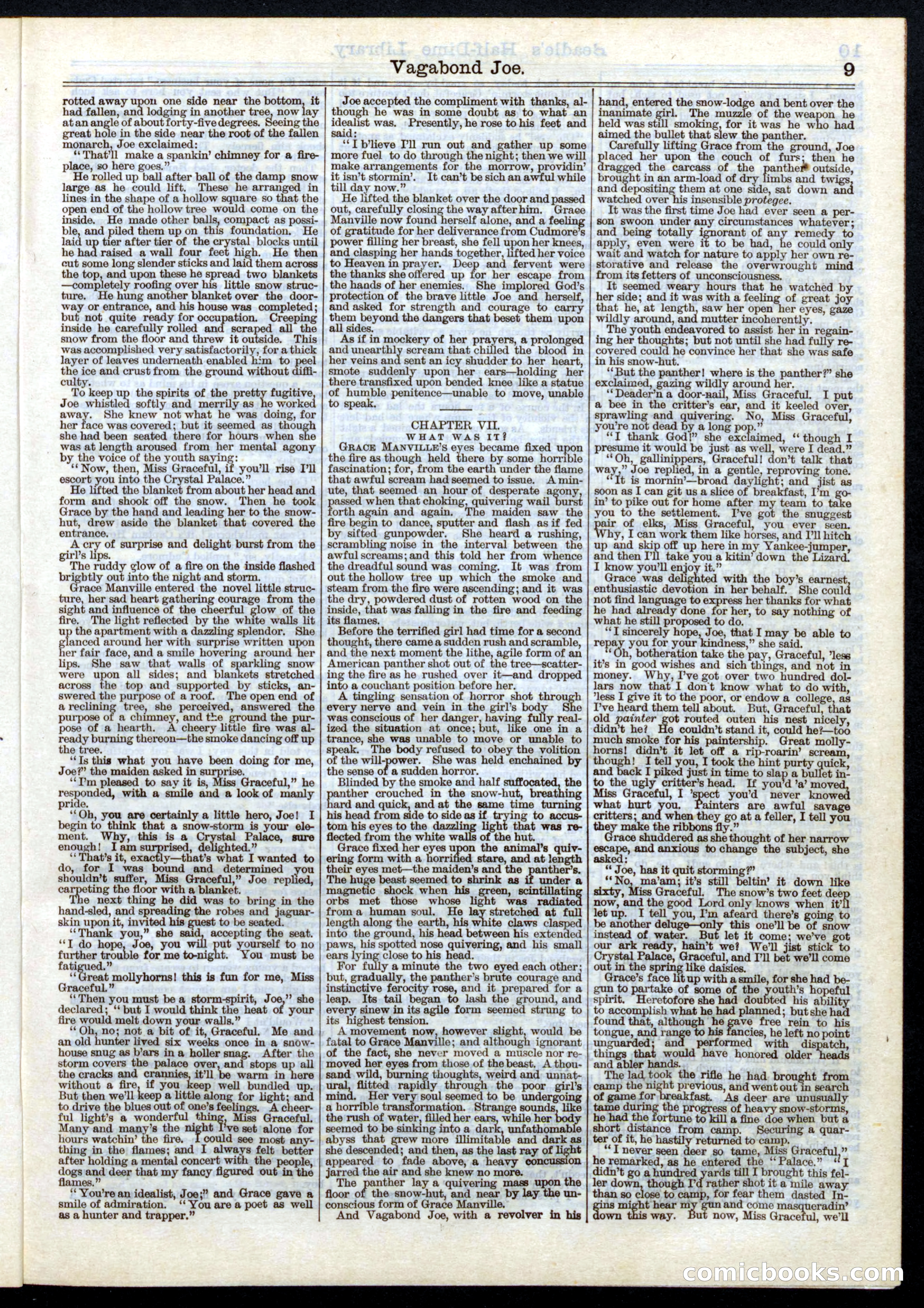 Beadle's Half Dime Library, No. 5 — page 9 of 32