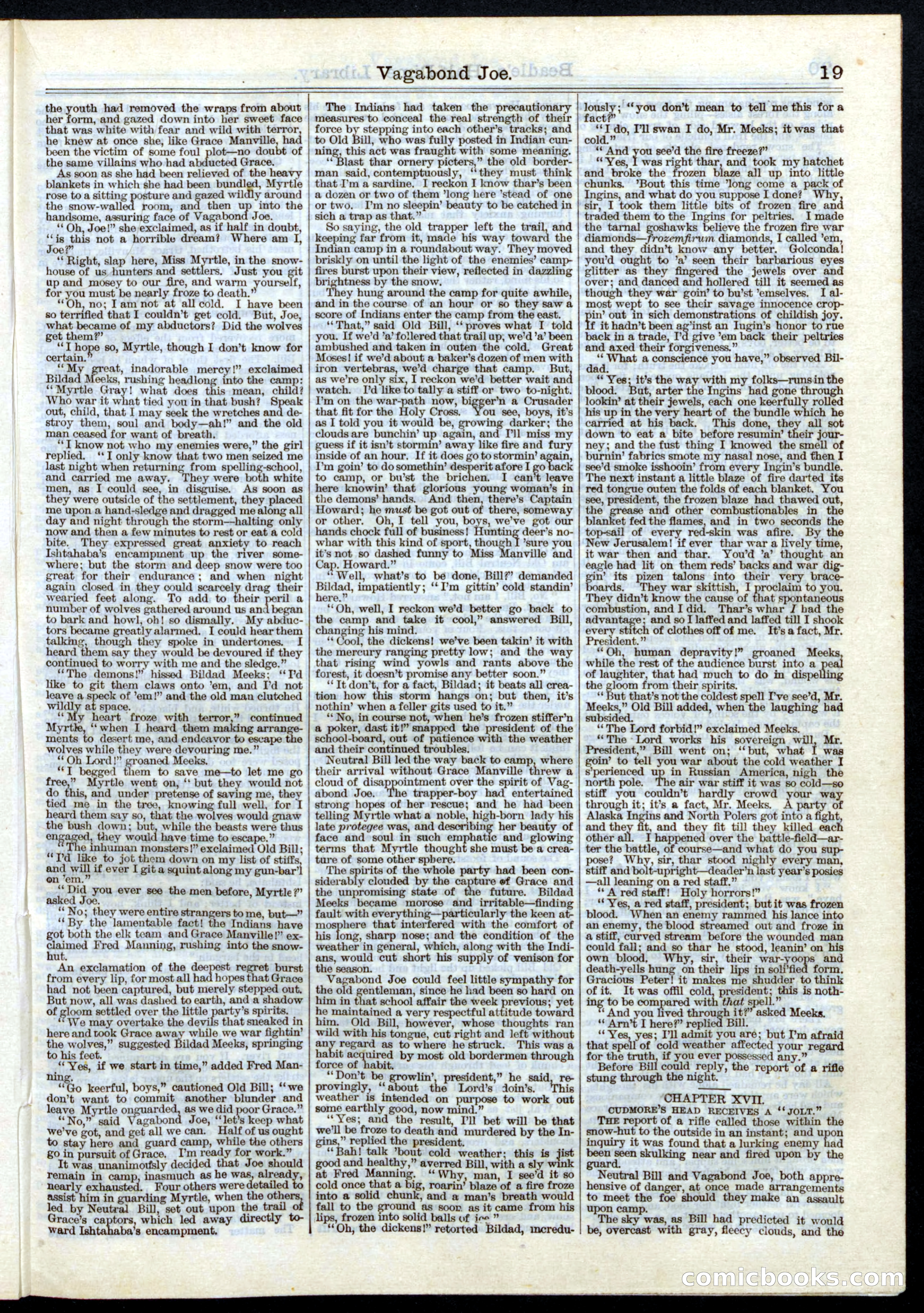 Beadle's Half Dime Library, No. 5 — page 19 of 32