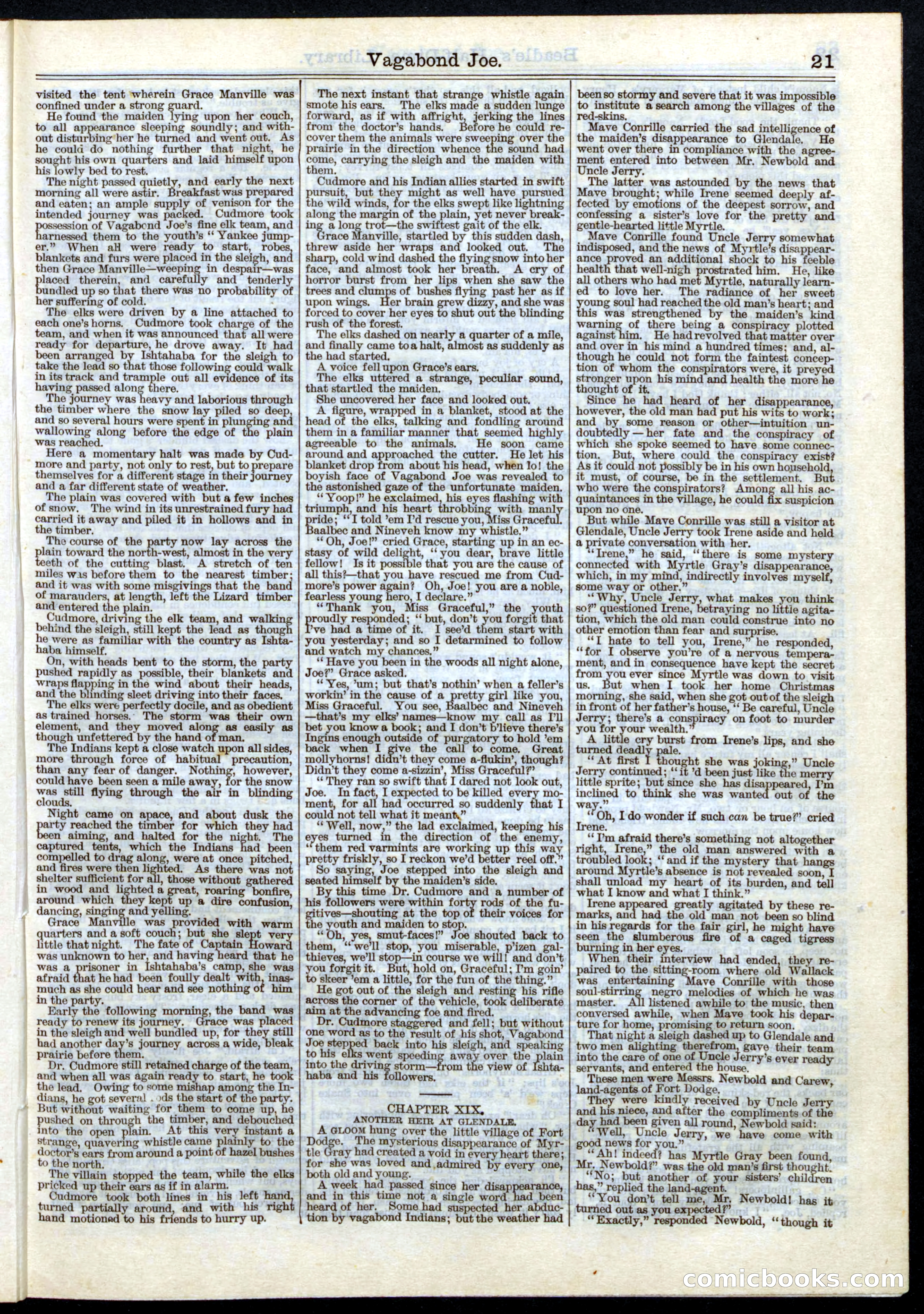 Beadle's Half Dime Library, No. 5 — page 21 of 32