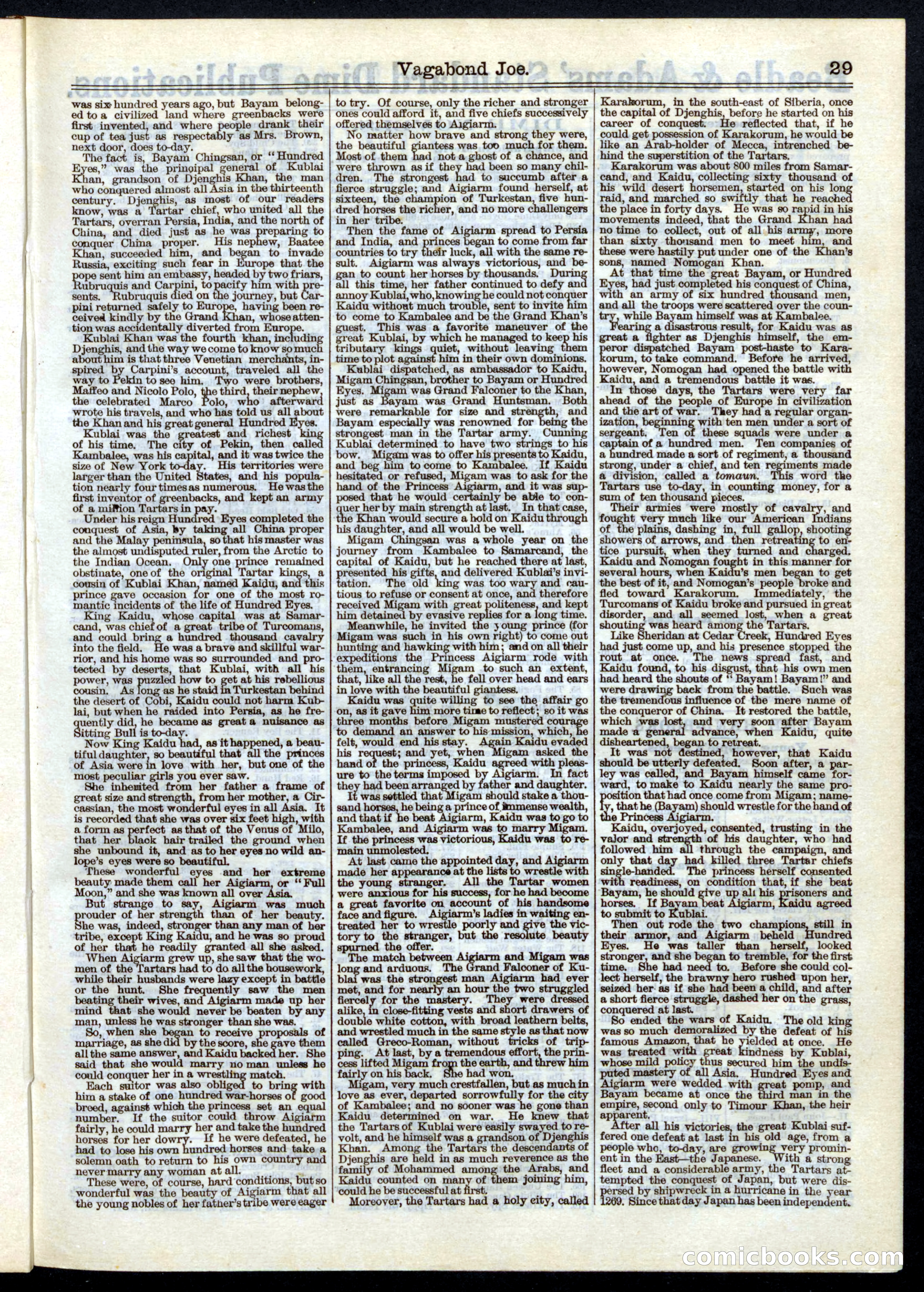 Beadle's Half Dime Library, No. 5 — page 29 of 32