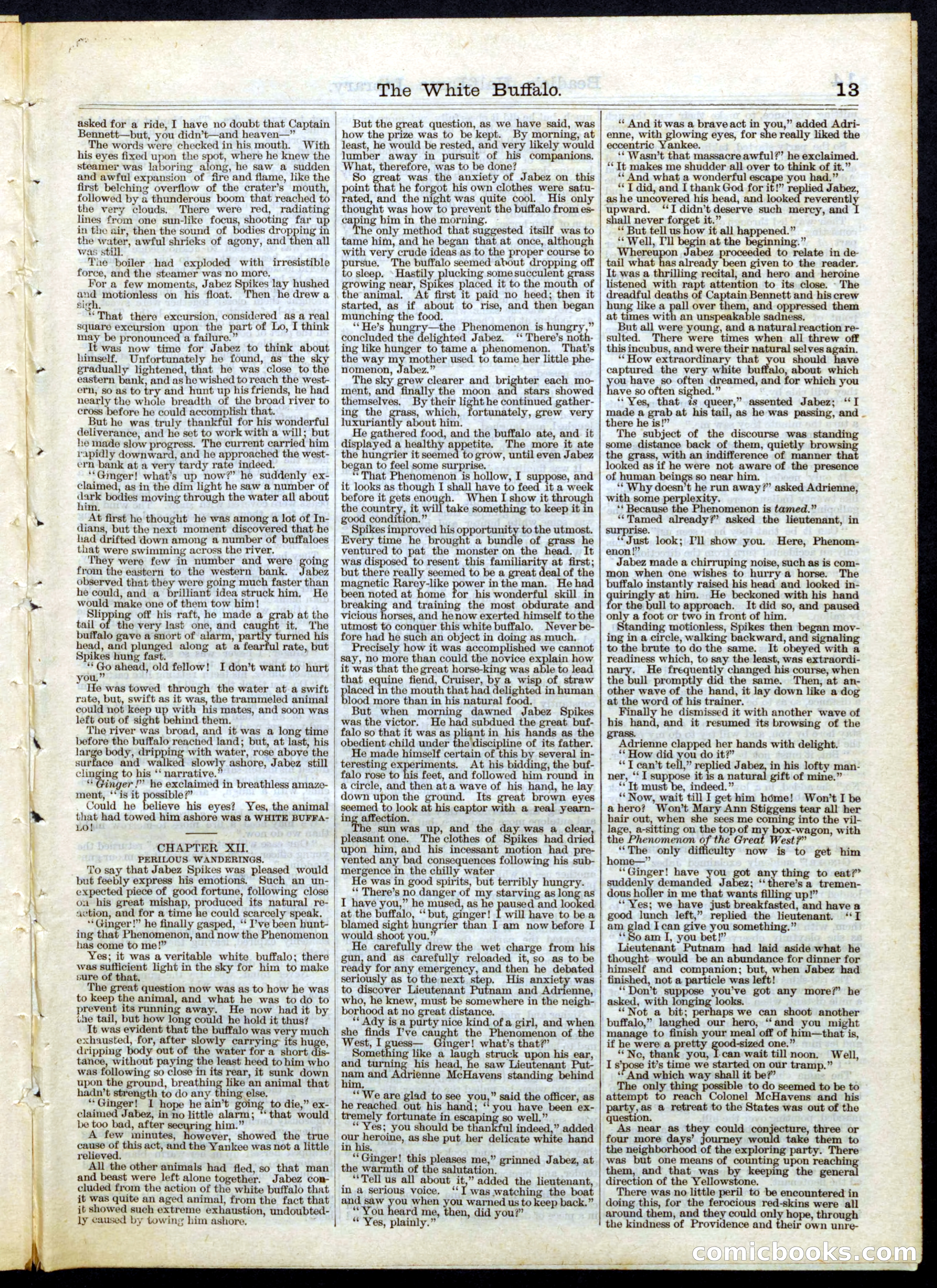 Beadle's Half Dime Library No. 52 — page 13 of 16