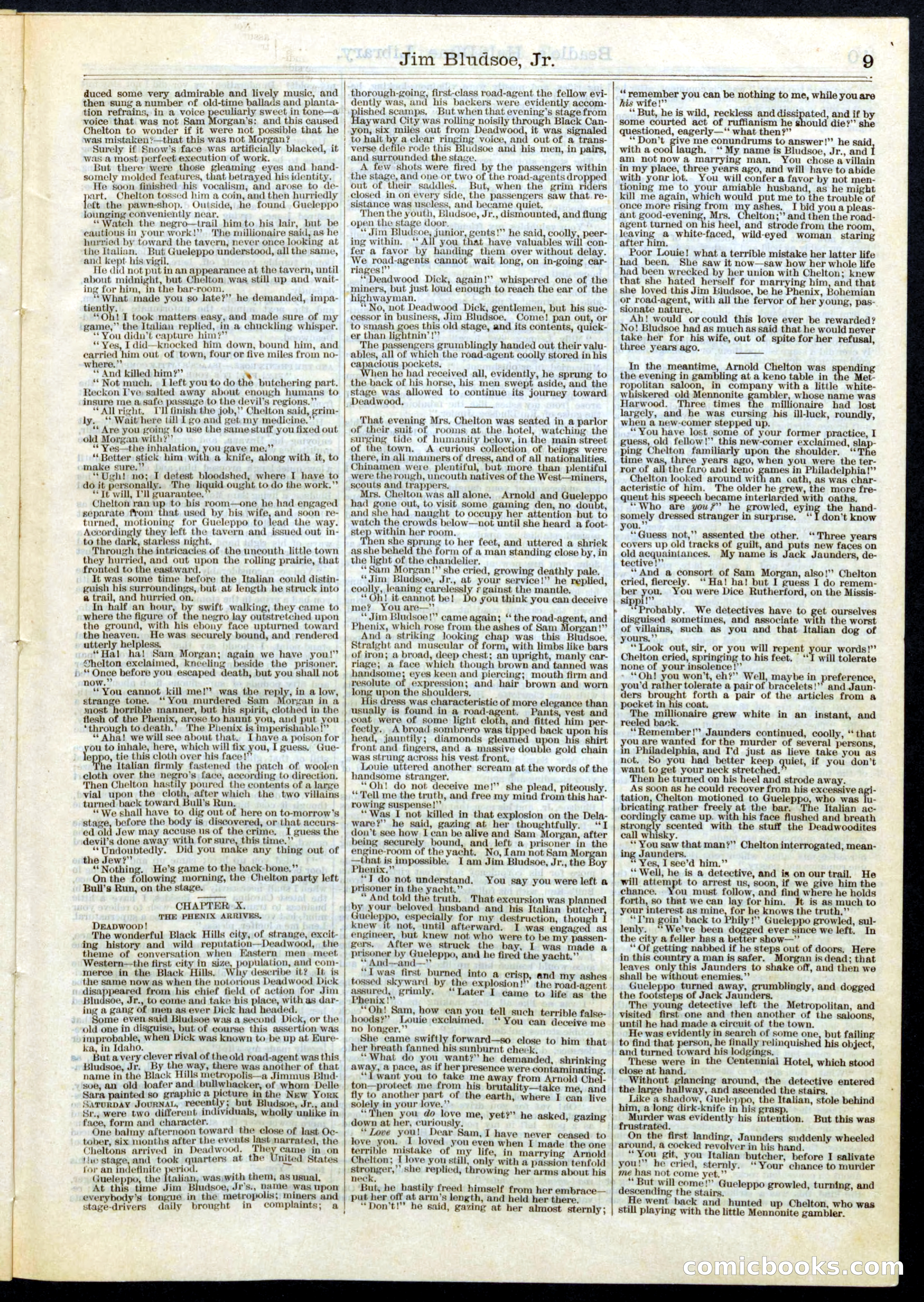 Beadle's Half Dime Library No. 53 — page 9 of 16