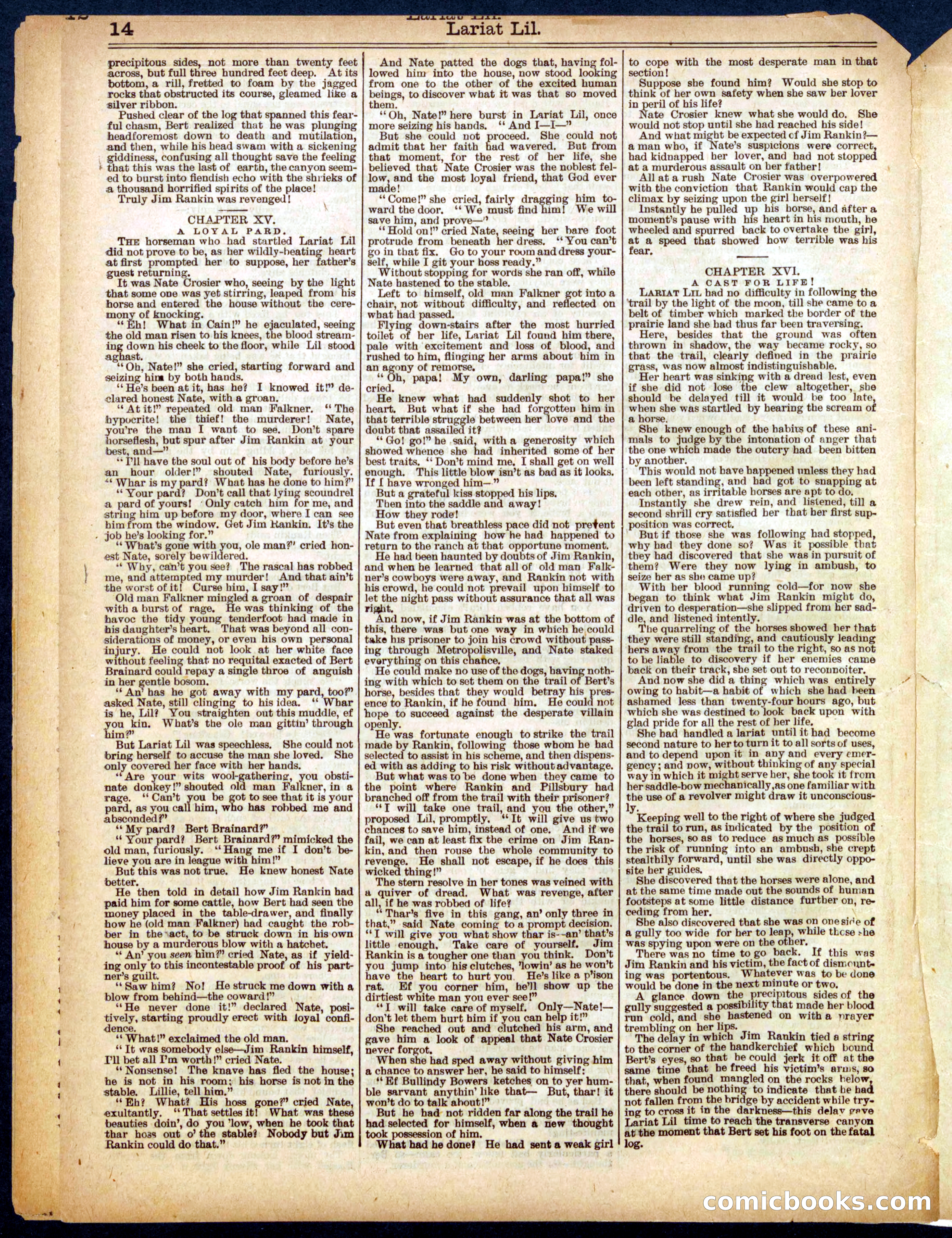 Beadle's Half Dime Library, No. 556 — page 14 of 16