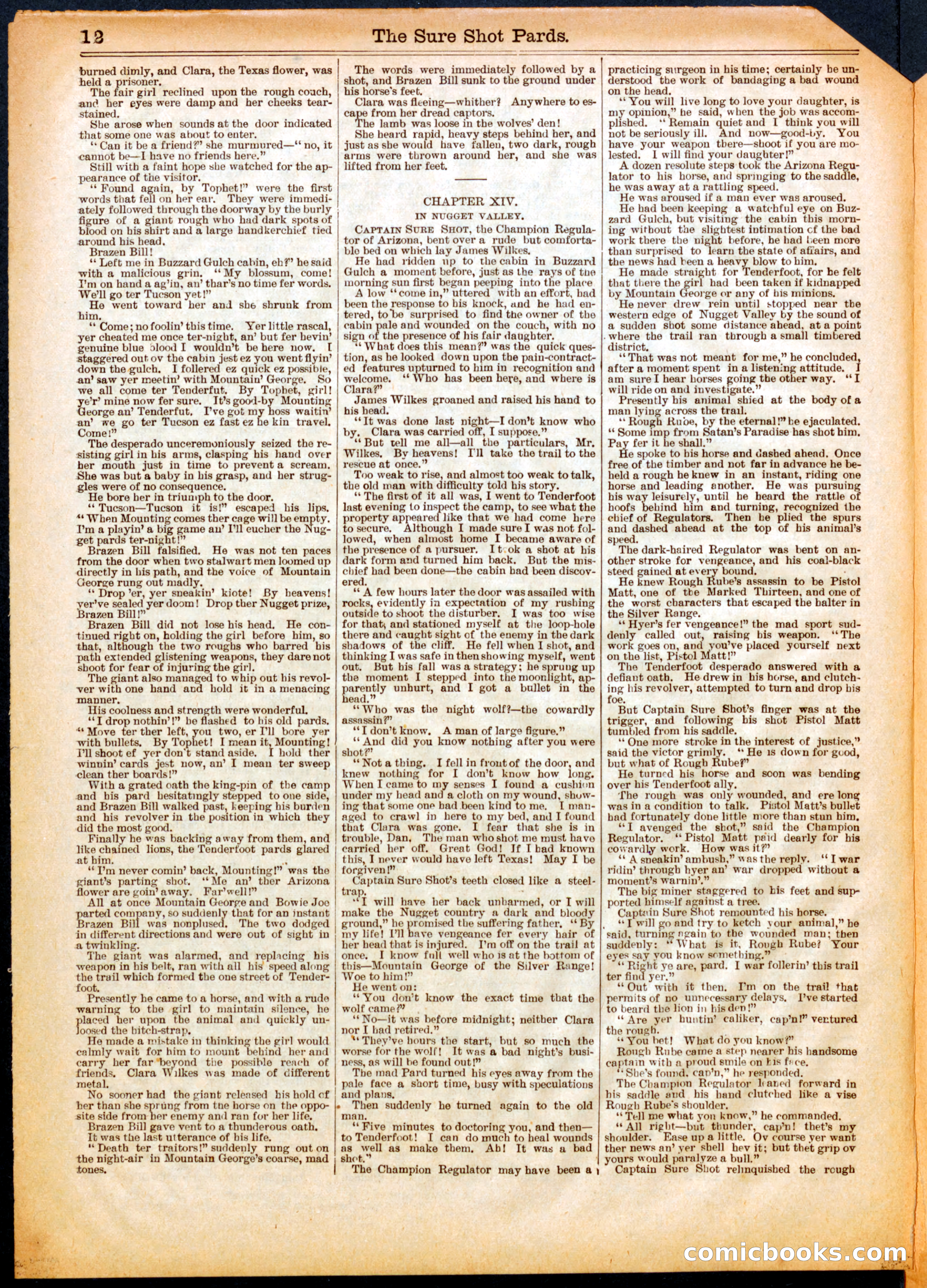 Beadle's Half Dime Library, No. 558 — page 12 of 16
