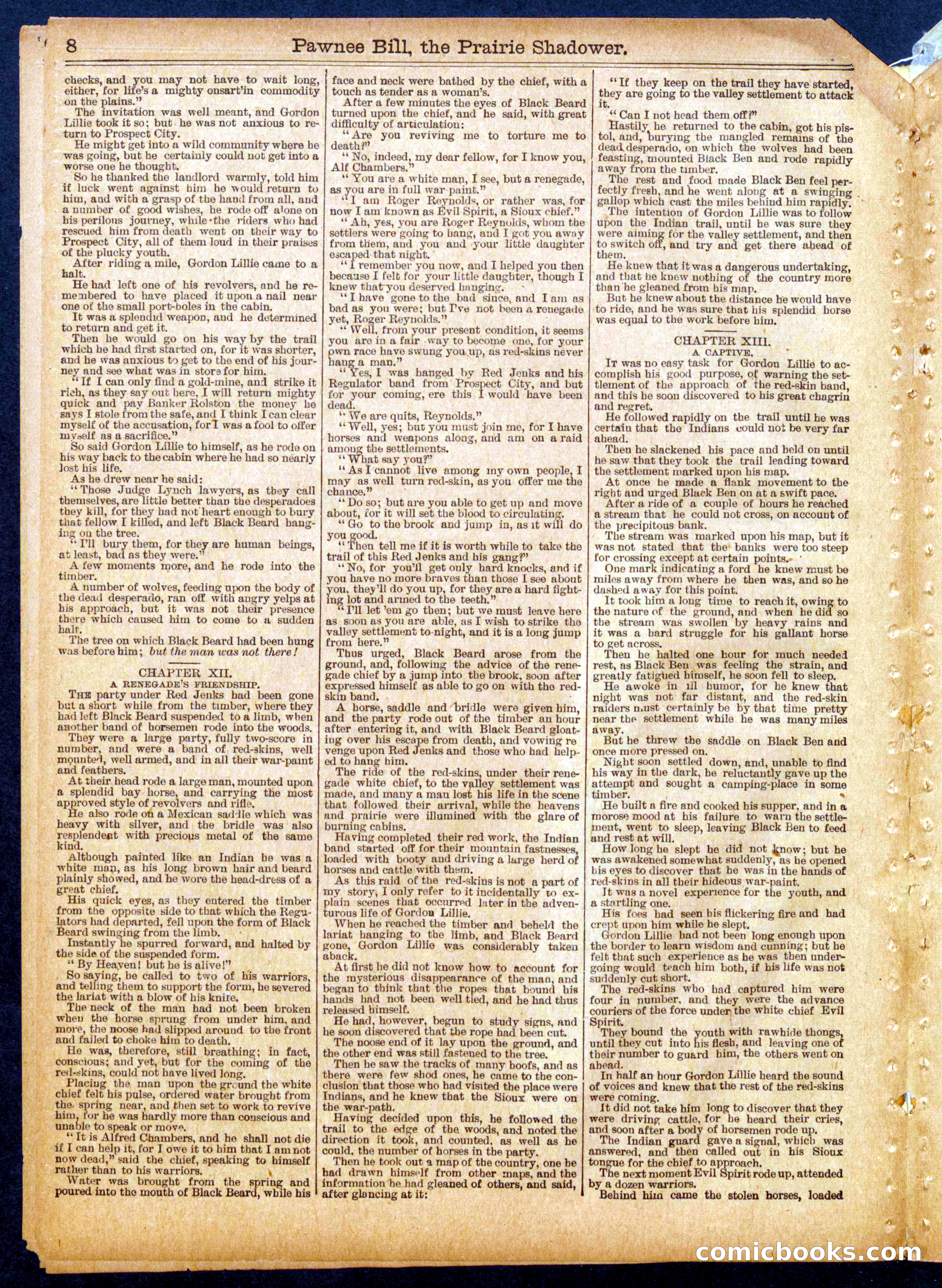 Beadle's Half Dime Library No. 560 — page 8 of 16