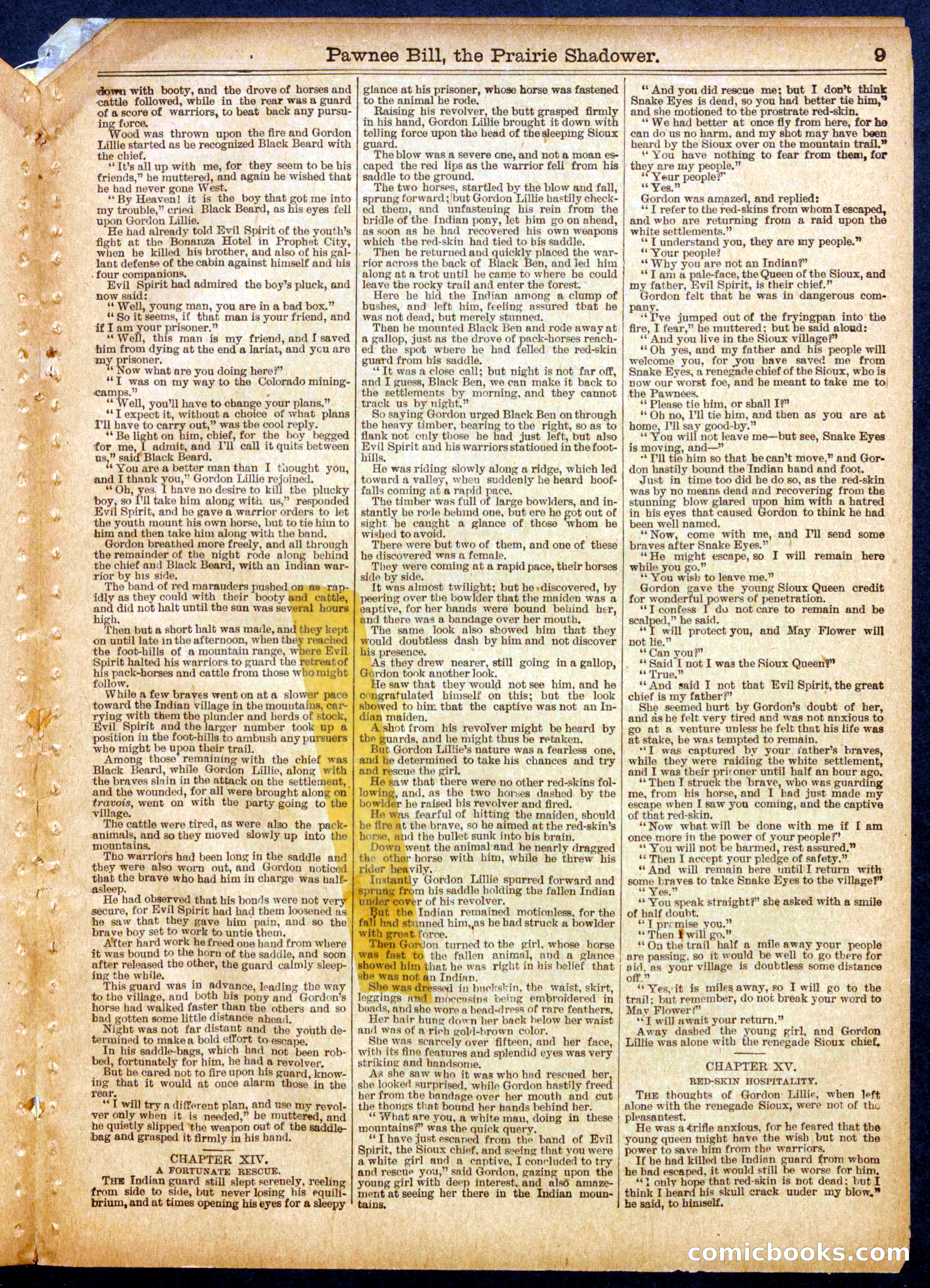 Beadle's Half Dime Library No. 560 — page 9 of 16