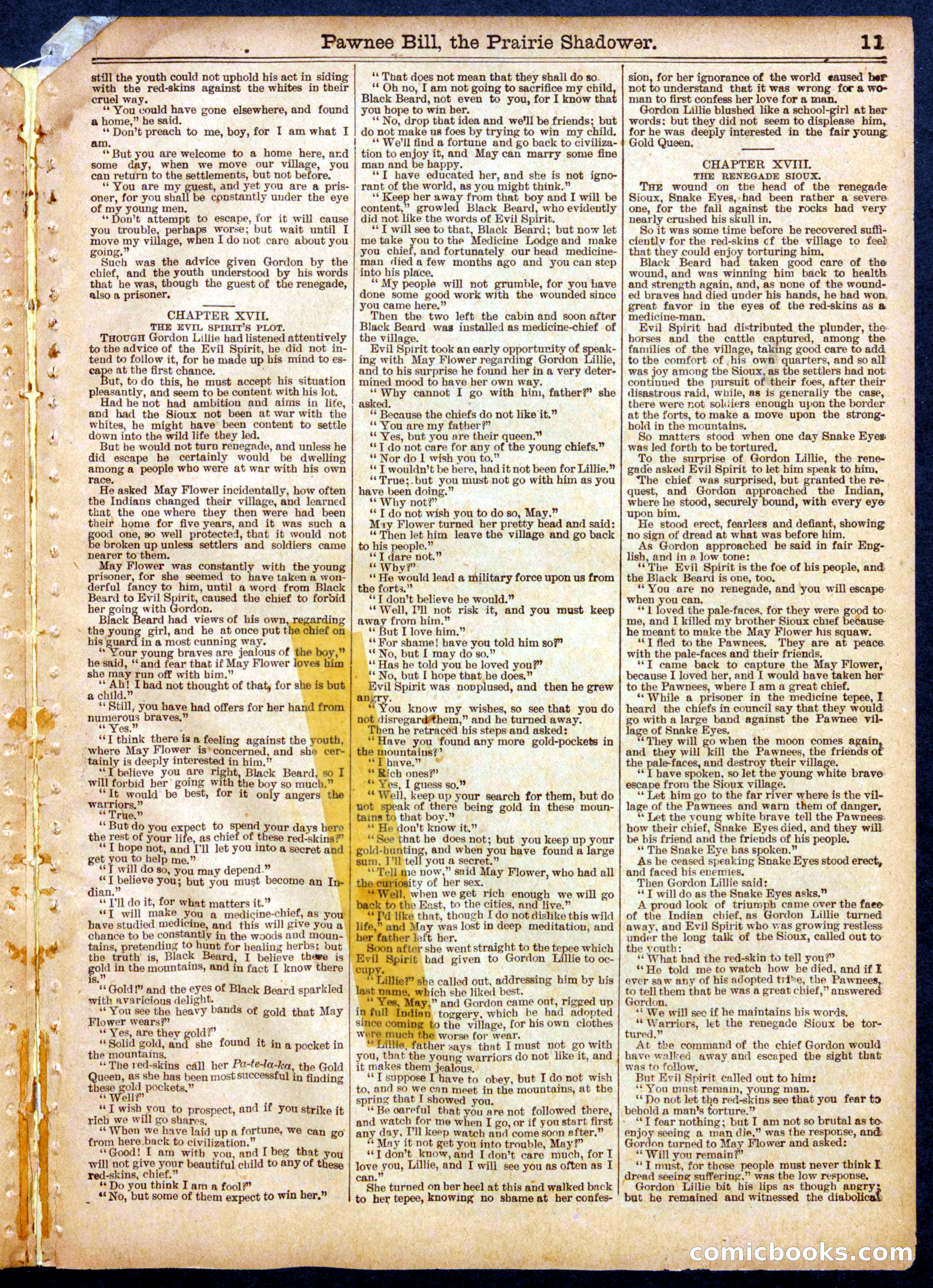 Beadle's Half Dime Library No. 560 — page 11 of 16
