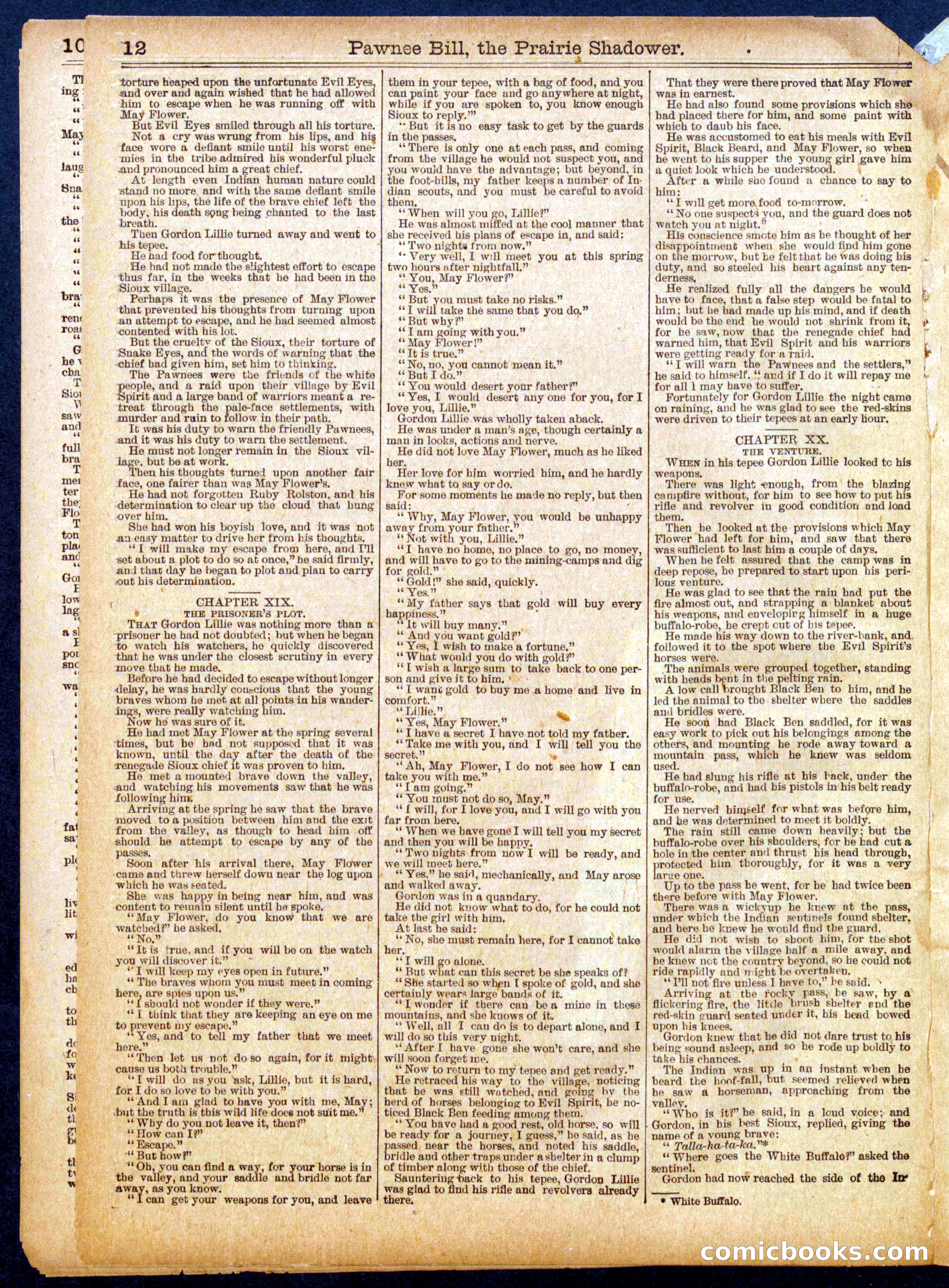 Beadle's Half Dime Library No. 560 — page 12 of 16