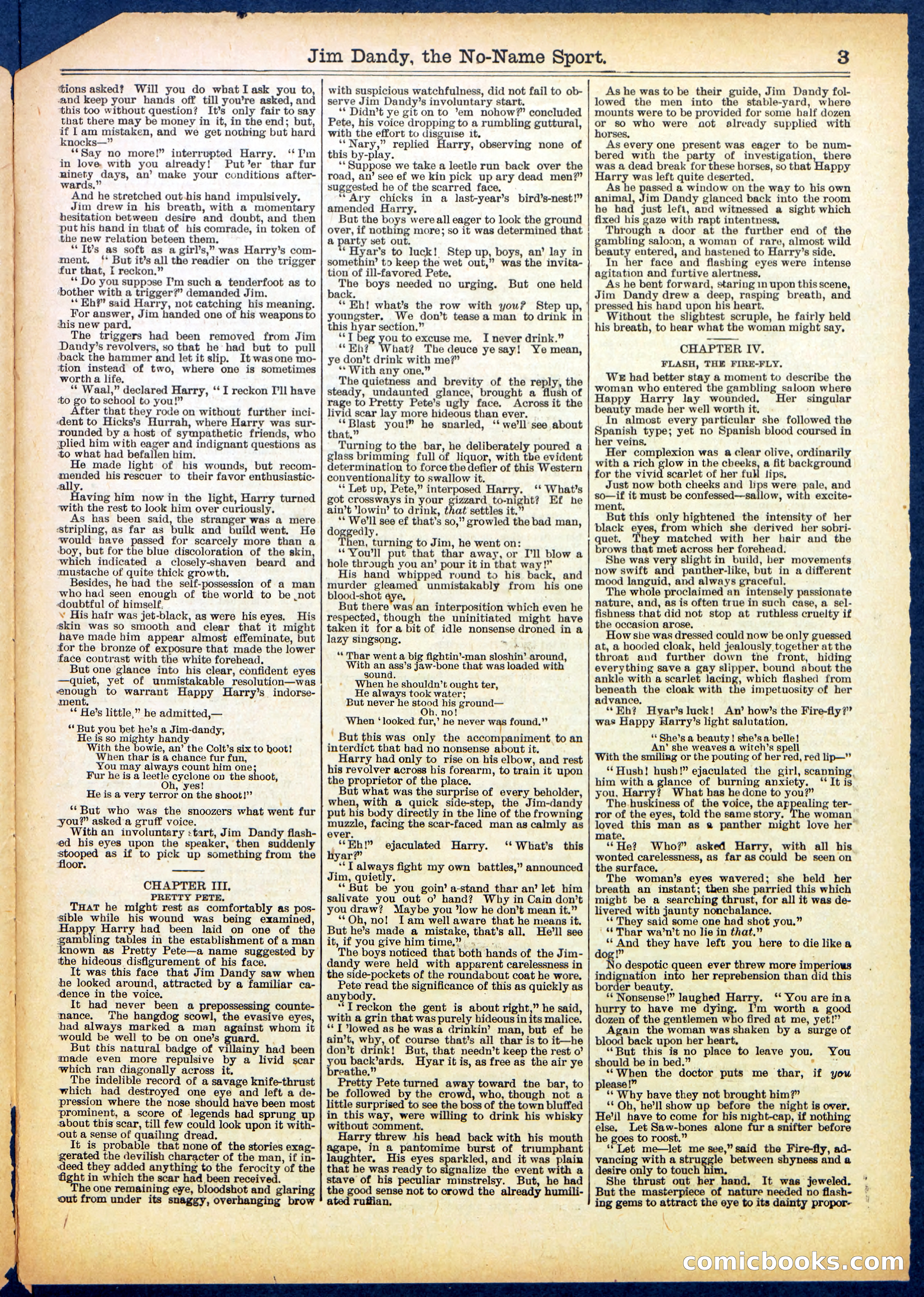 Beadle's Half Dime Library No. 599 — page 3 of 16