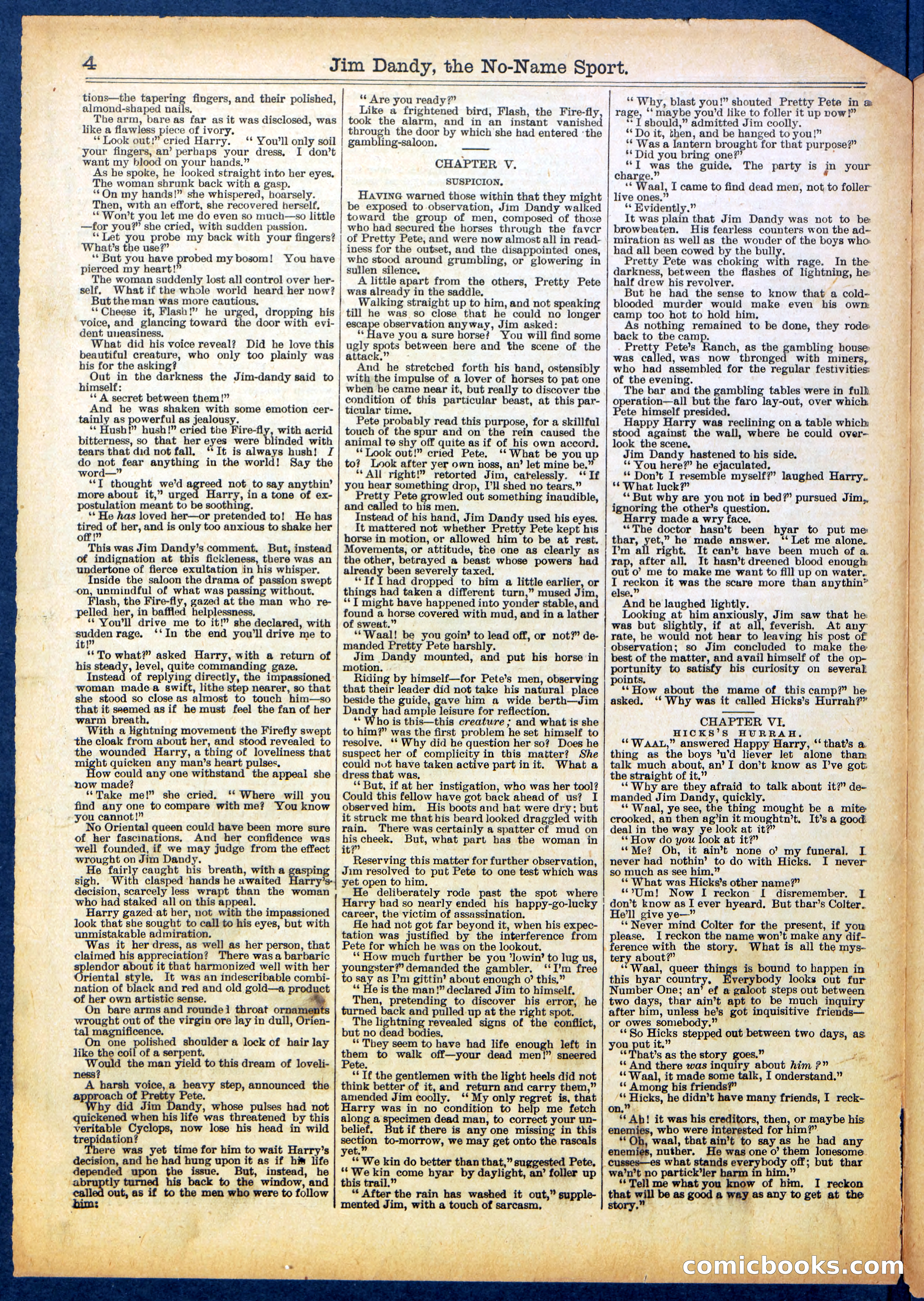 Beadle's Half Dime Library No. 599 — page 4 of 16