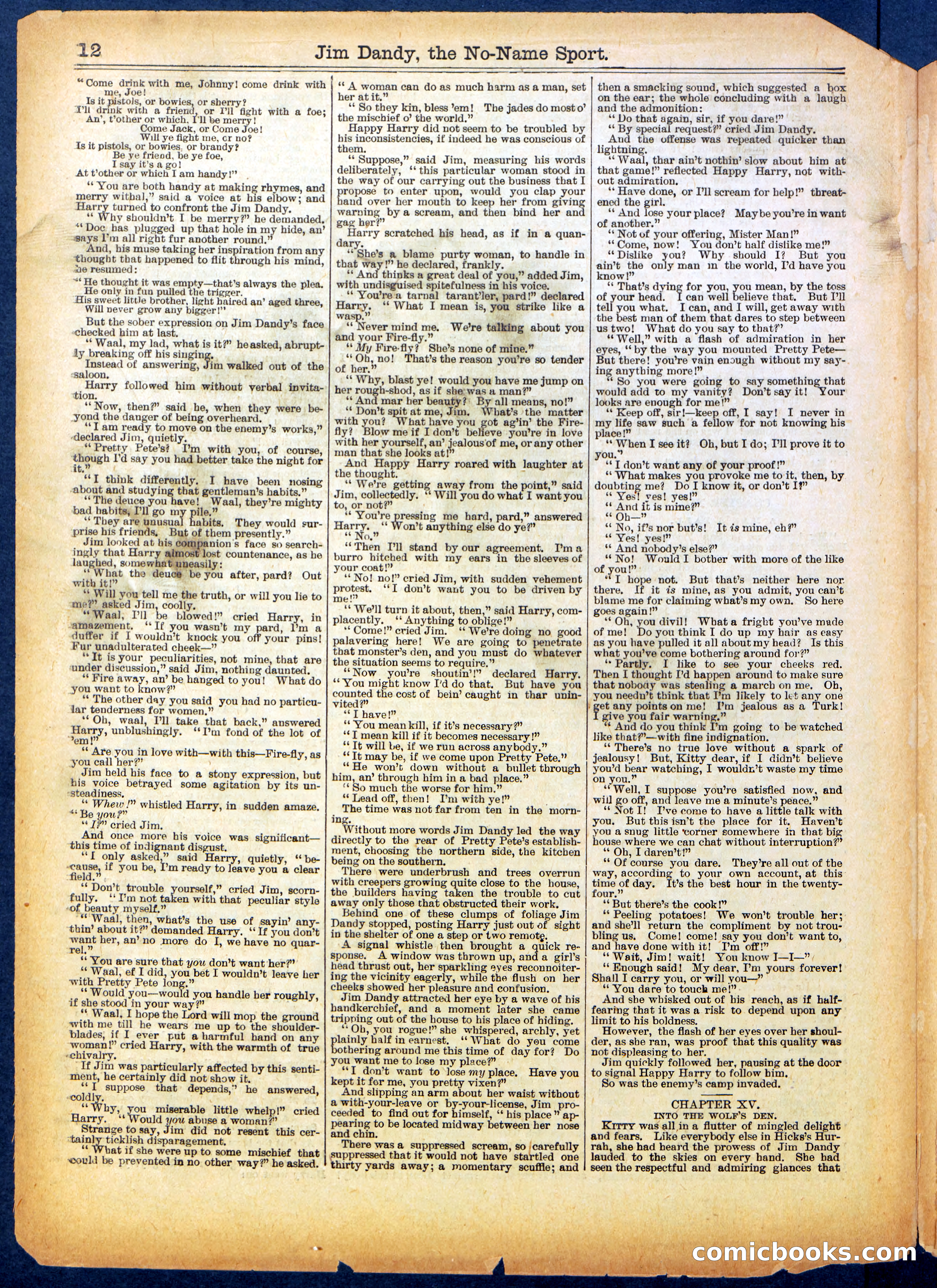 Beadle's Half Dime Library No. 599 — page 12 of 16