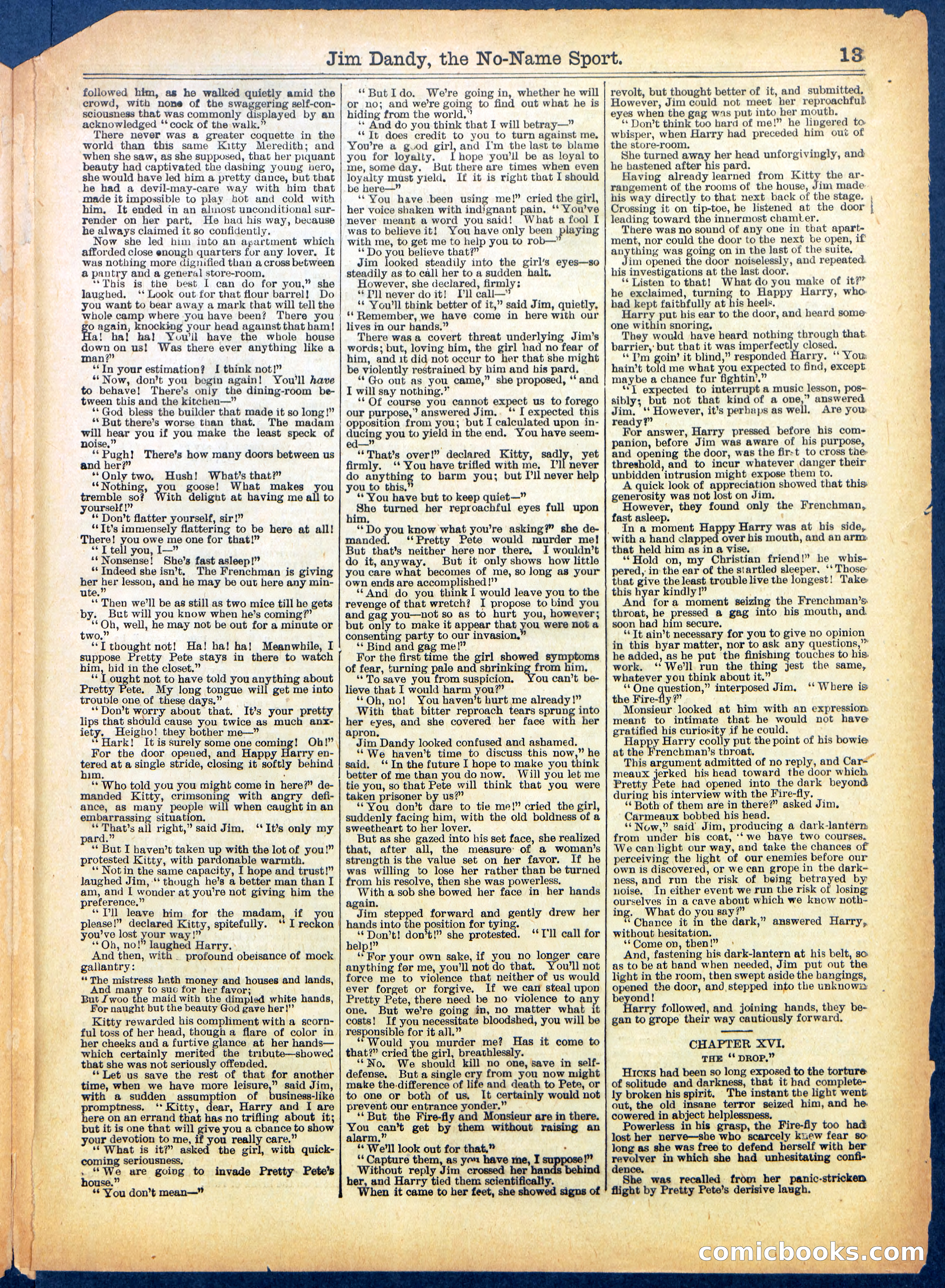 Beadle's Half Dime Library No. 599 — page 13 of 16