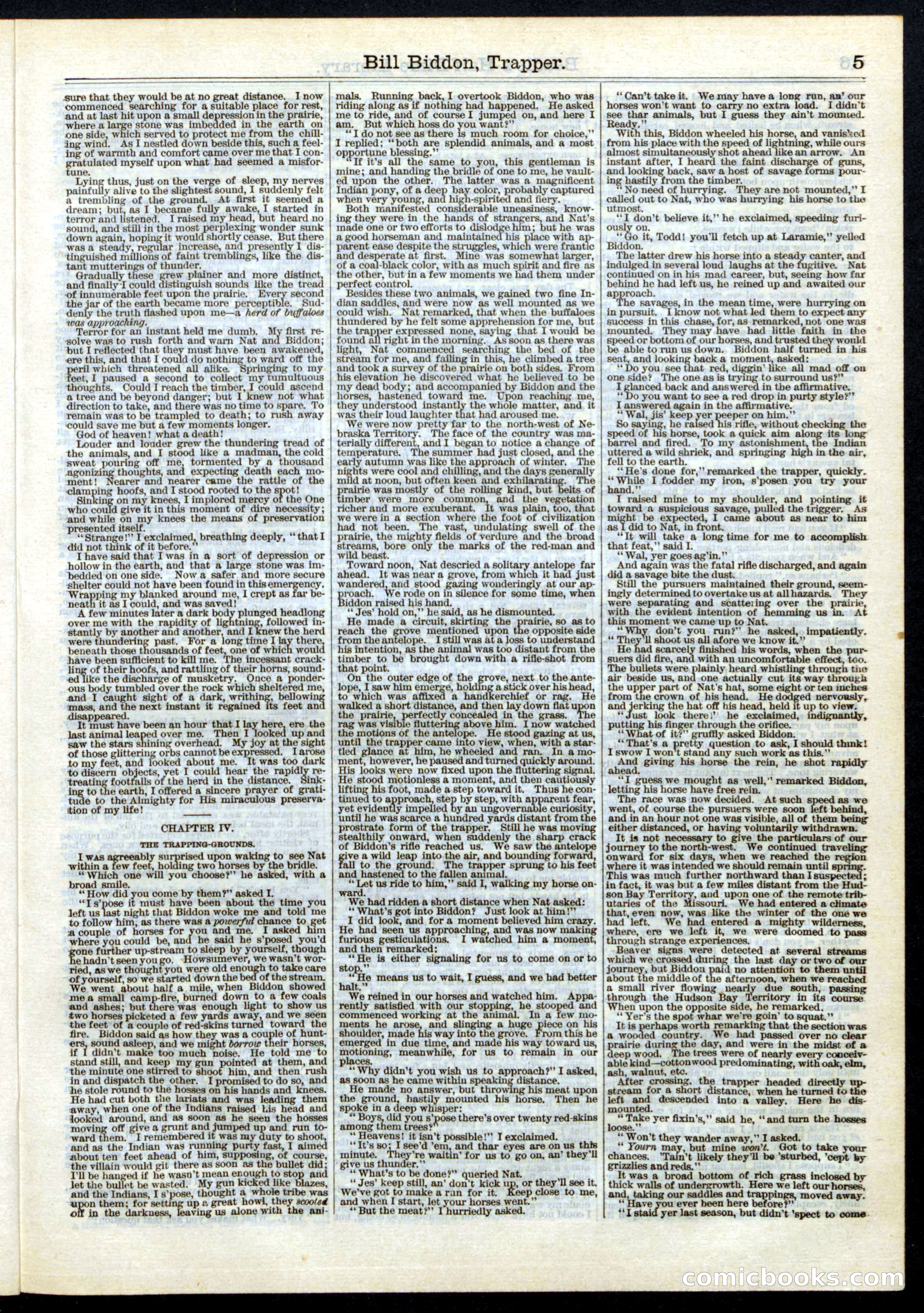 Beadle's Half Dime Library, No. 6 — page 5 of 16