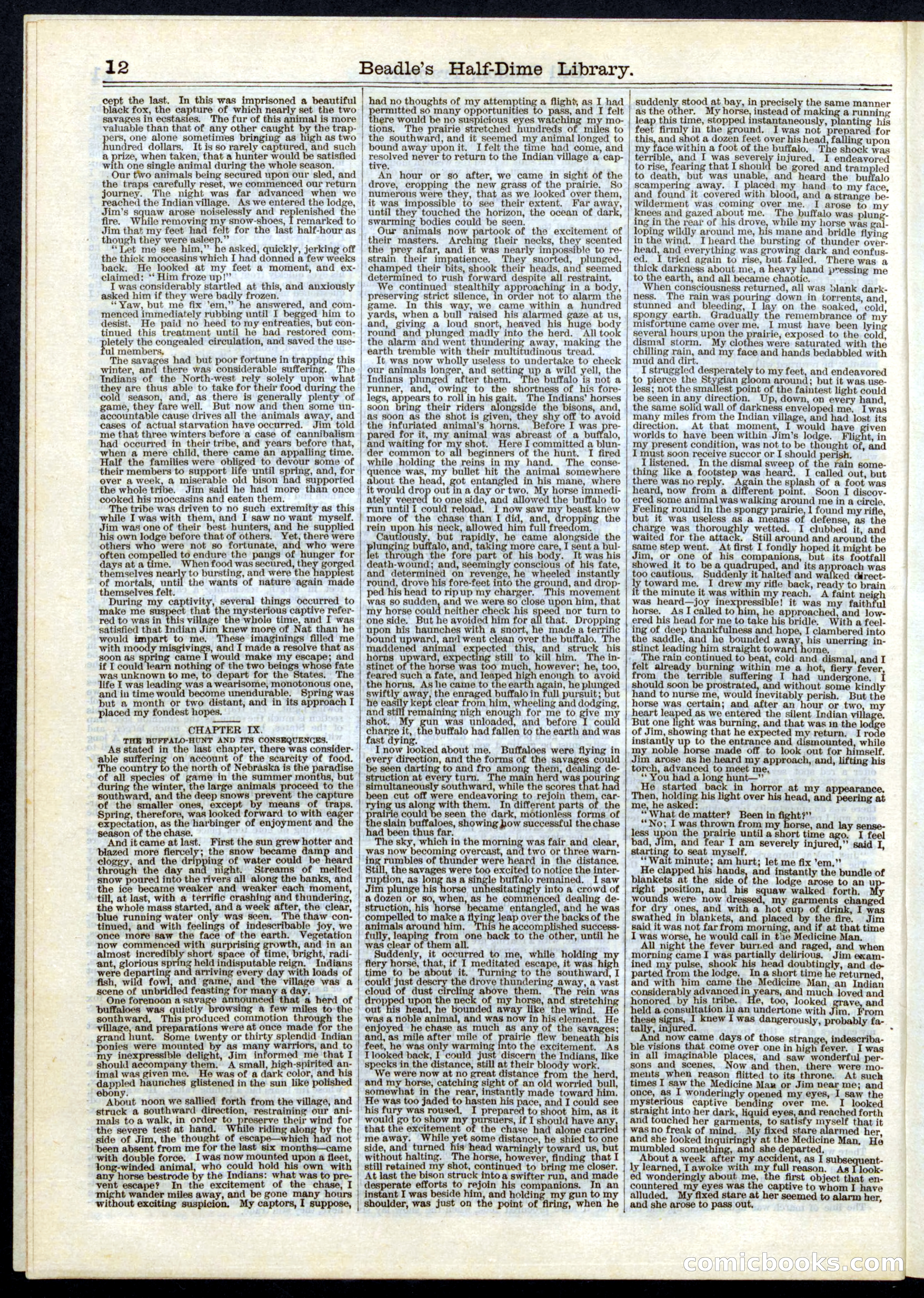 Beadle's Half Dime Library, No. 6 — page 12 of 16