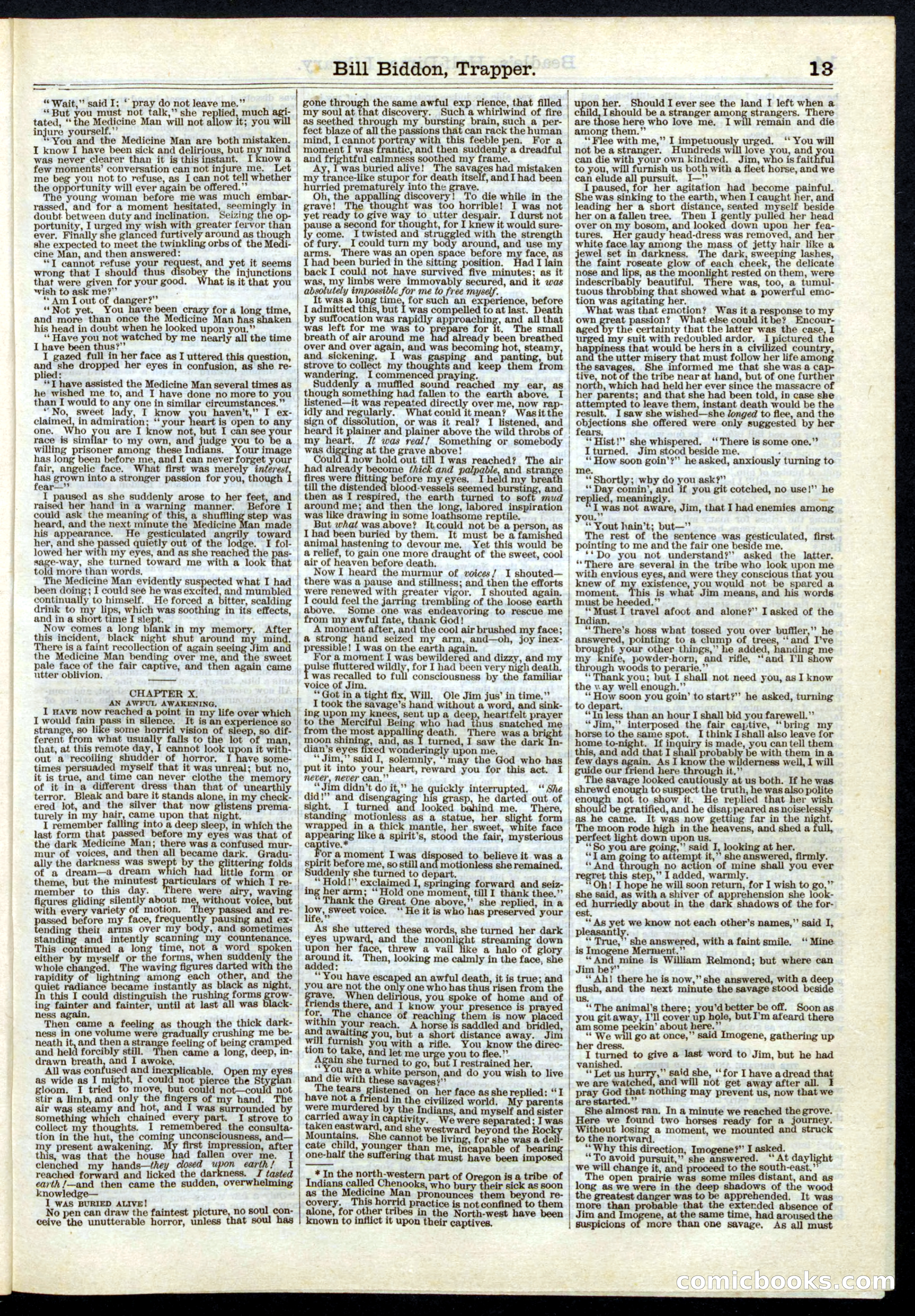 Beadle's Half Dime Library, No. 6 — page 13 of 16