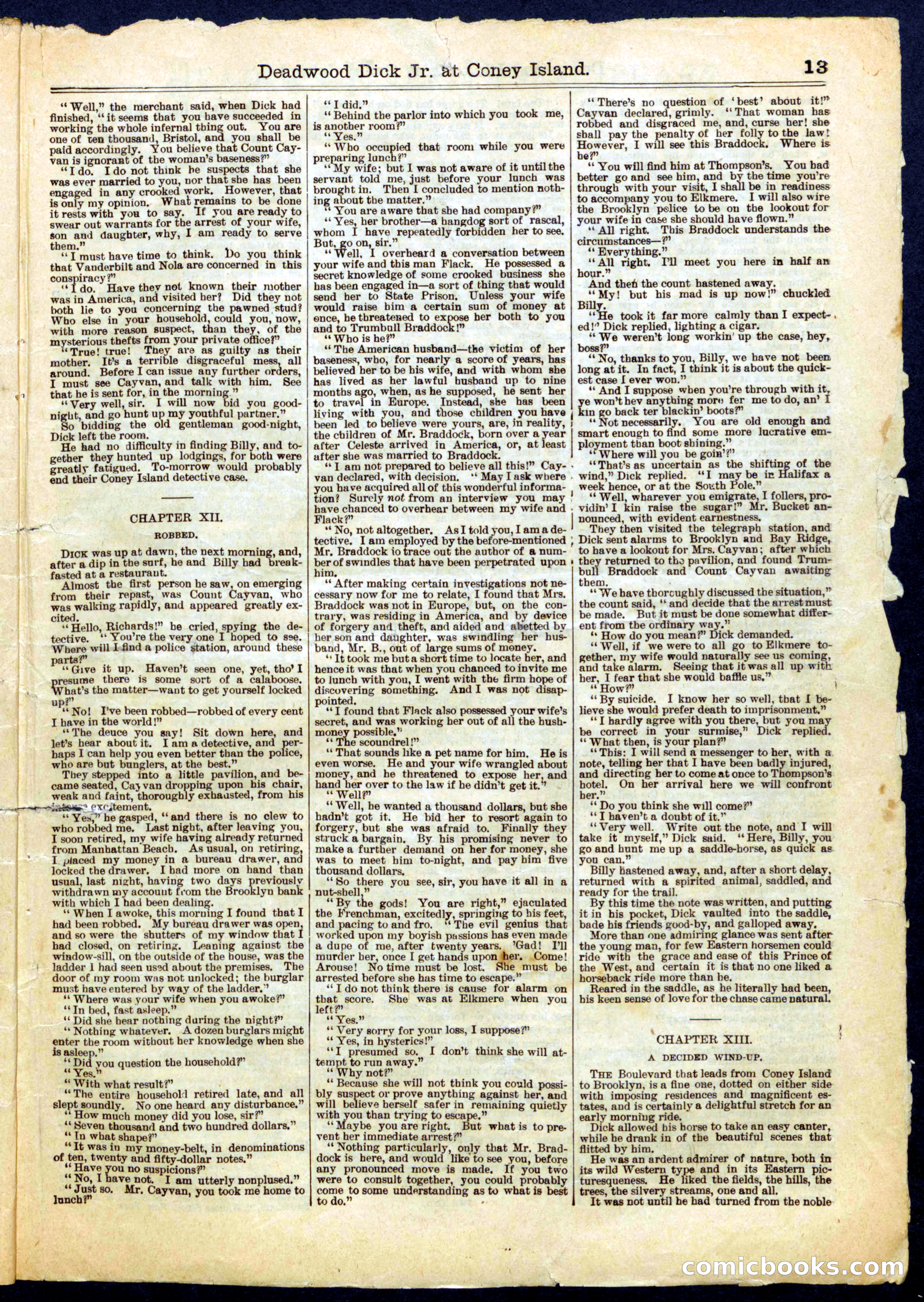 Beadle's Half Dime Library, No. 600 — page 13 of 16
