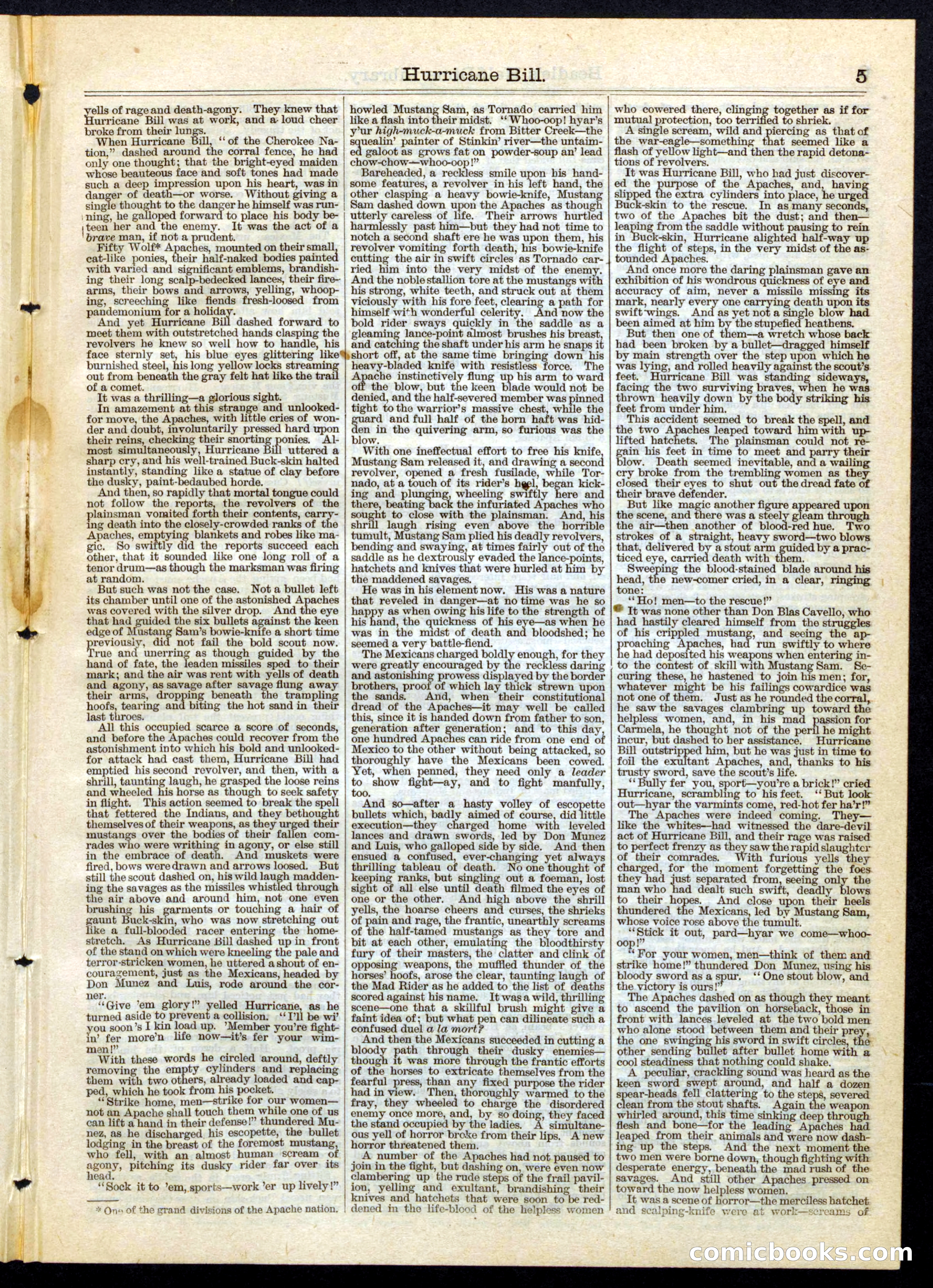 Beadle's Half Dime Library, No. 65 — page 5 of 16