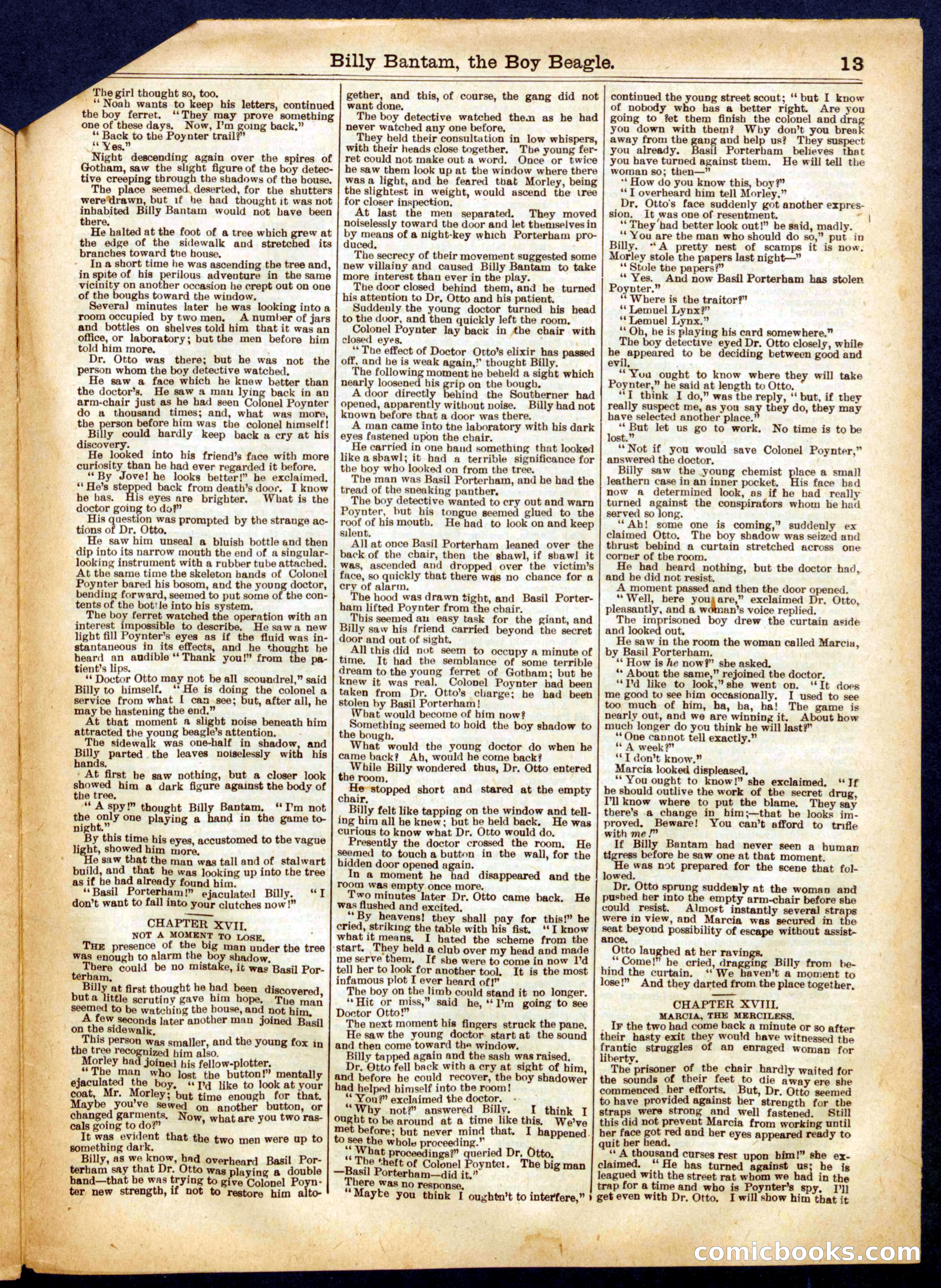 Beadle's Half Dime Library, No. 653 — page 13 of 16