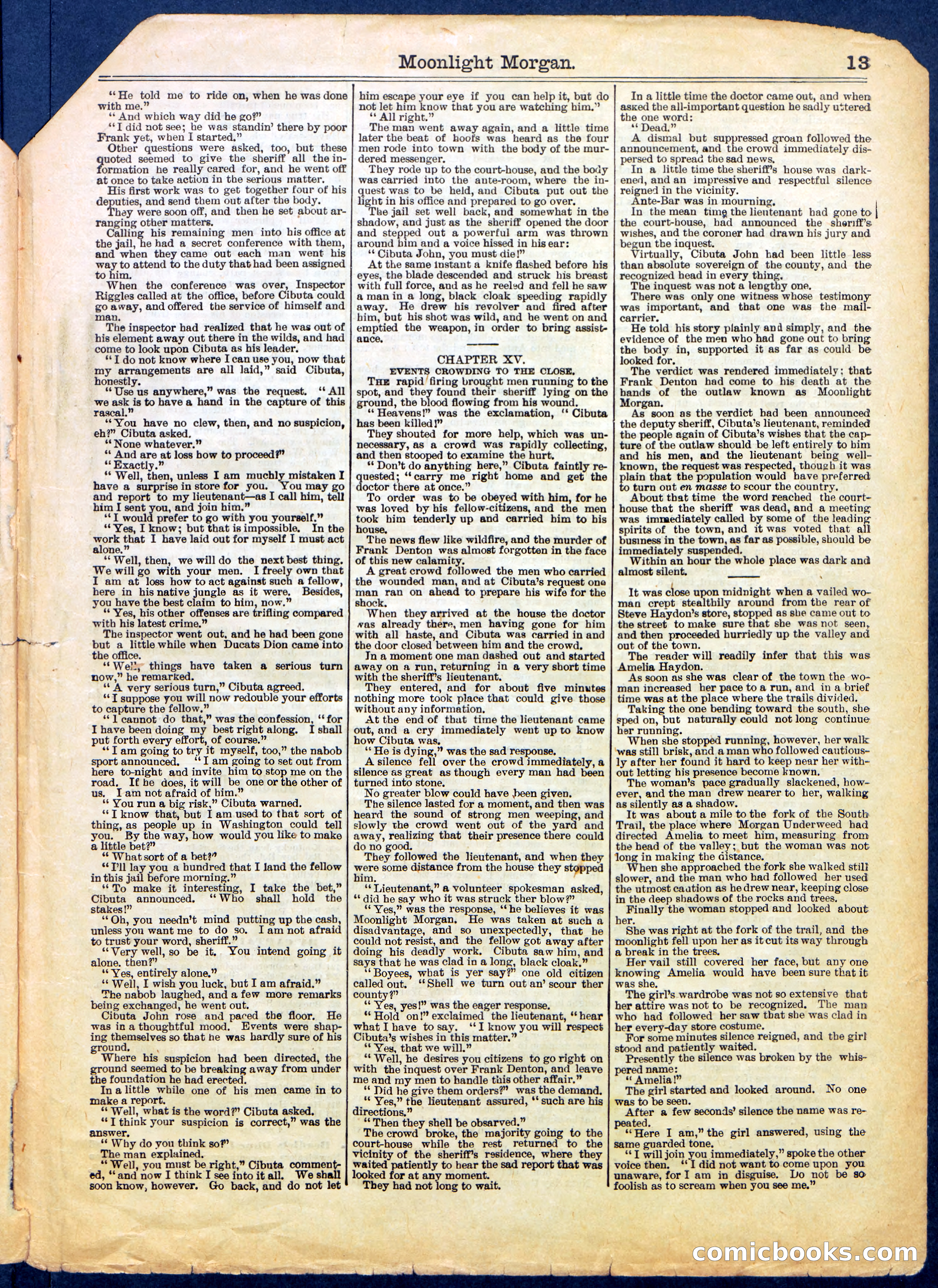 Beadle's Half Dime Library No. 659 — page 13 of 16