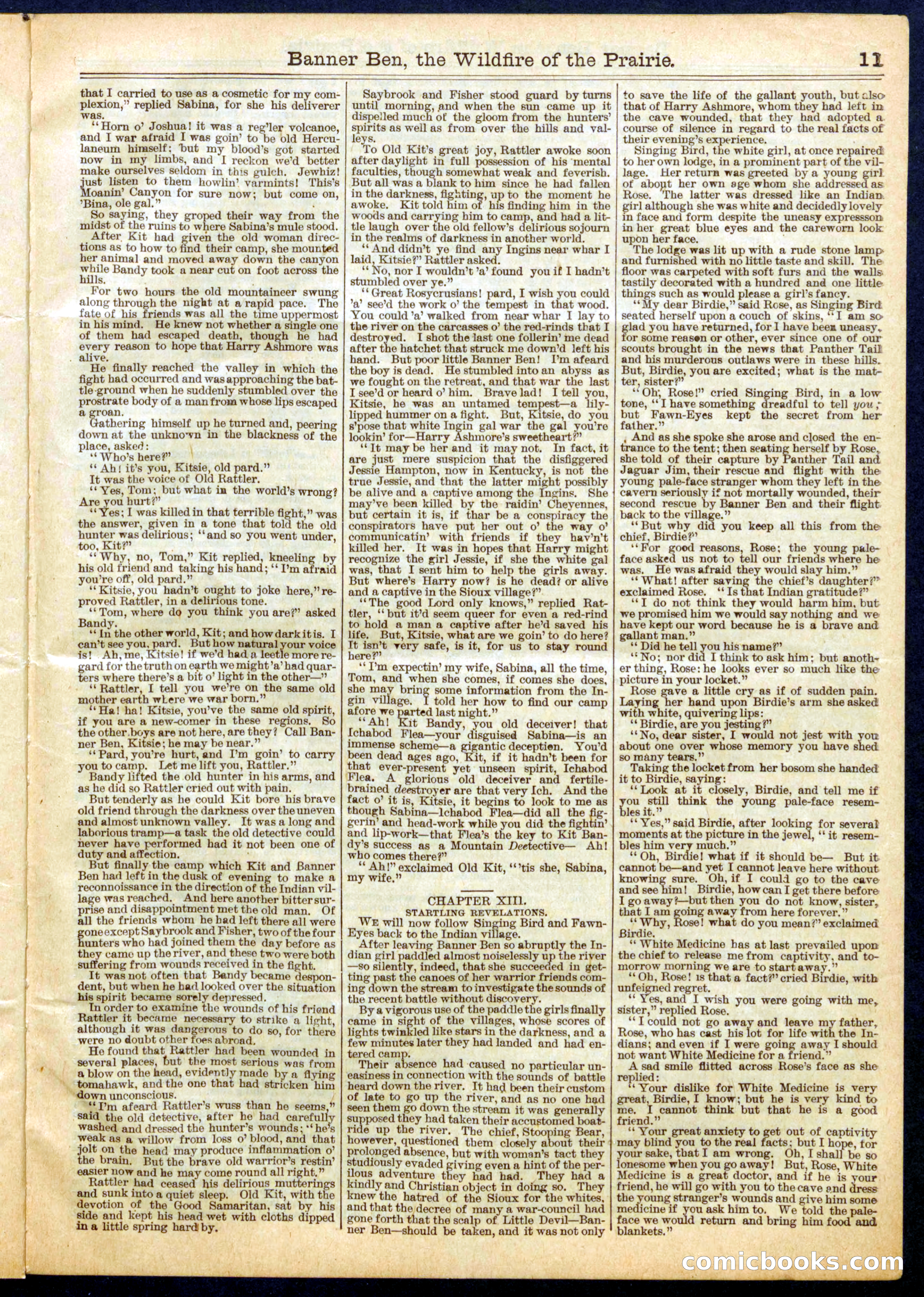 Beadle's Half Dime Library, No. 661 — page 11 of 16
