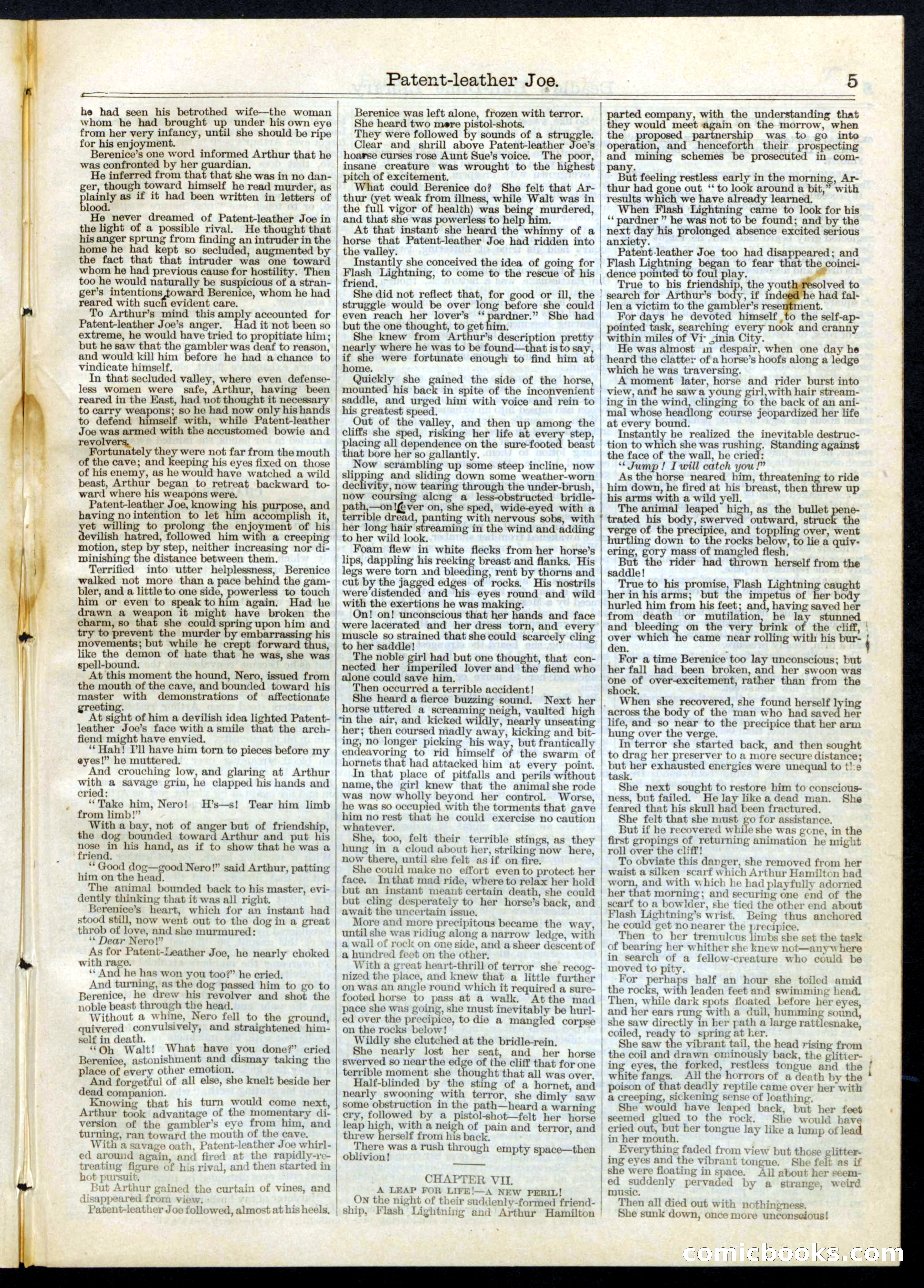 Beadle's Half Dime Library, No. 67 — page 5 of 16