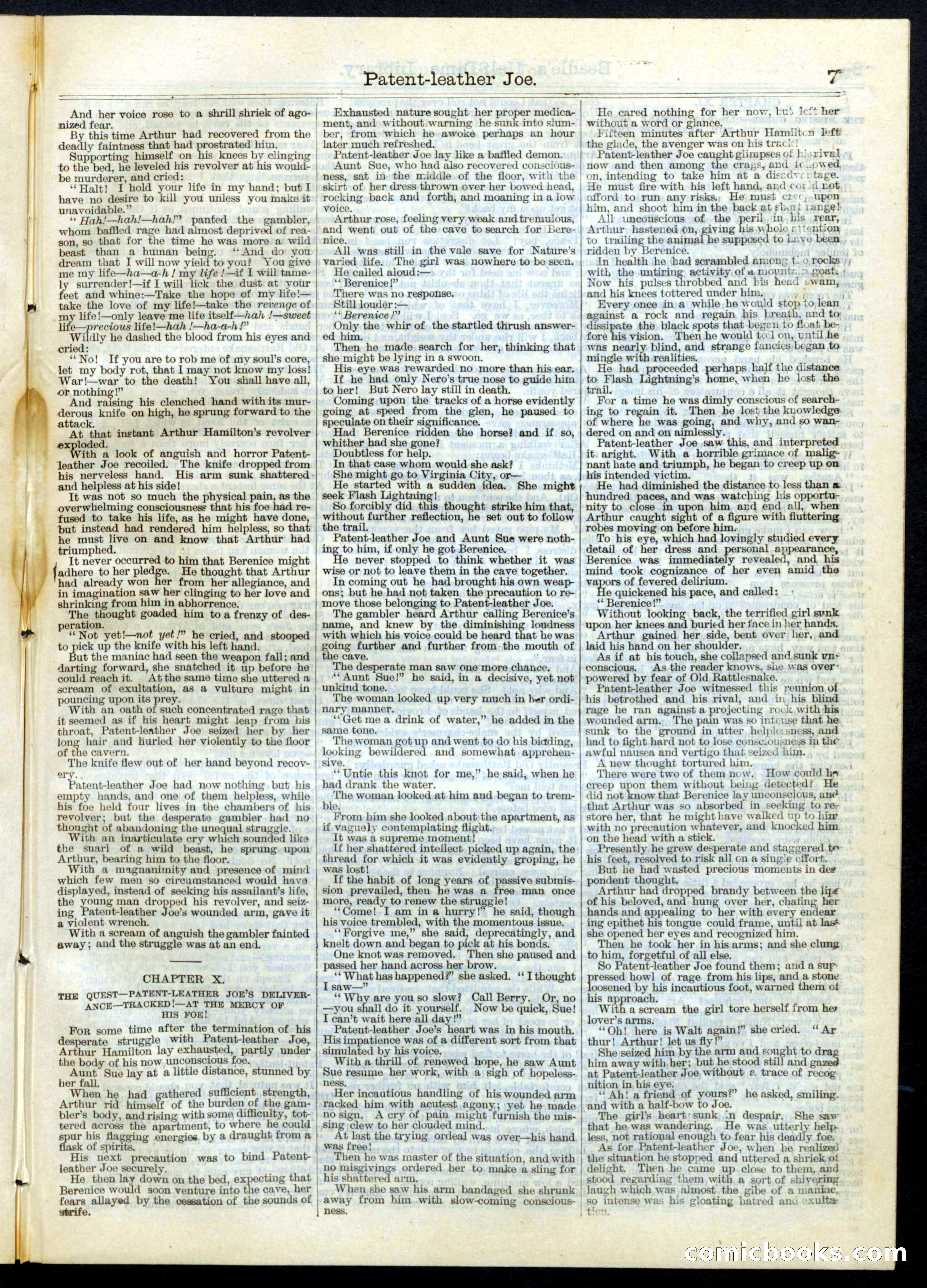 Beadle's Half Dime Library, No. 67 — page 7 of 16