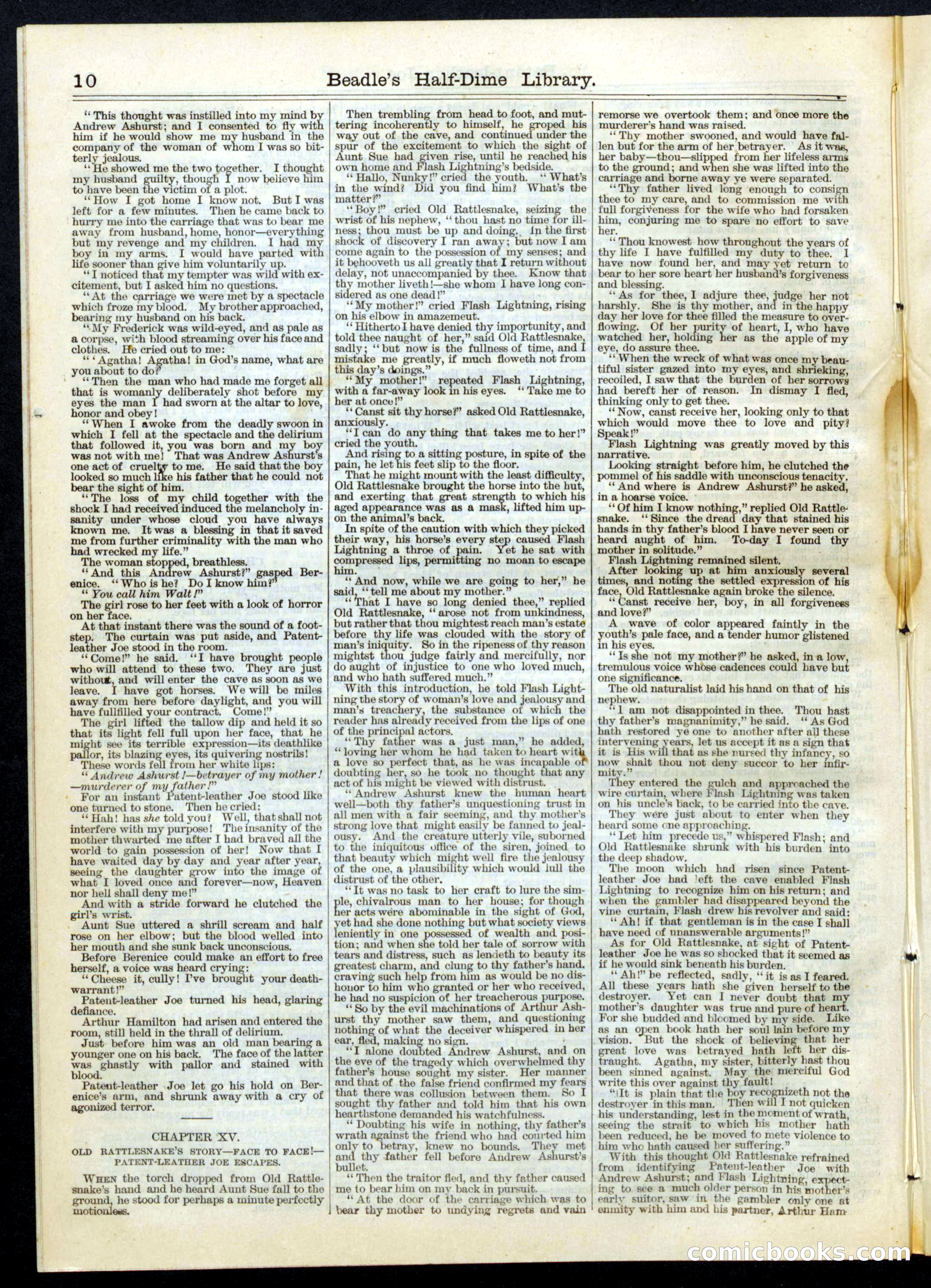 Beadle's Half Dime Library, No. 67 — page 10 of 16