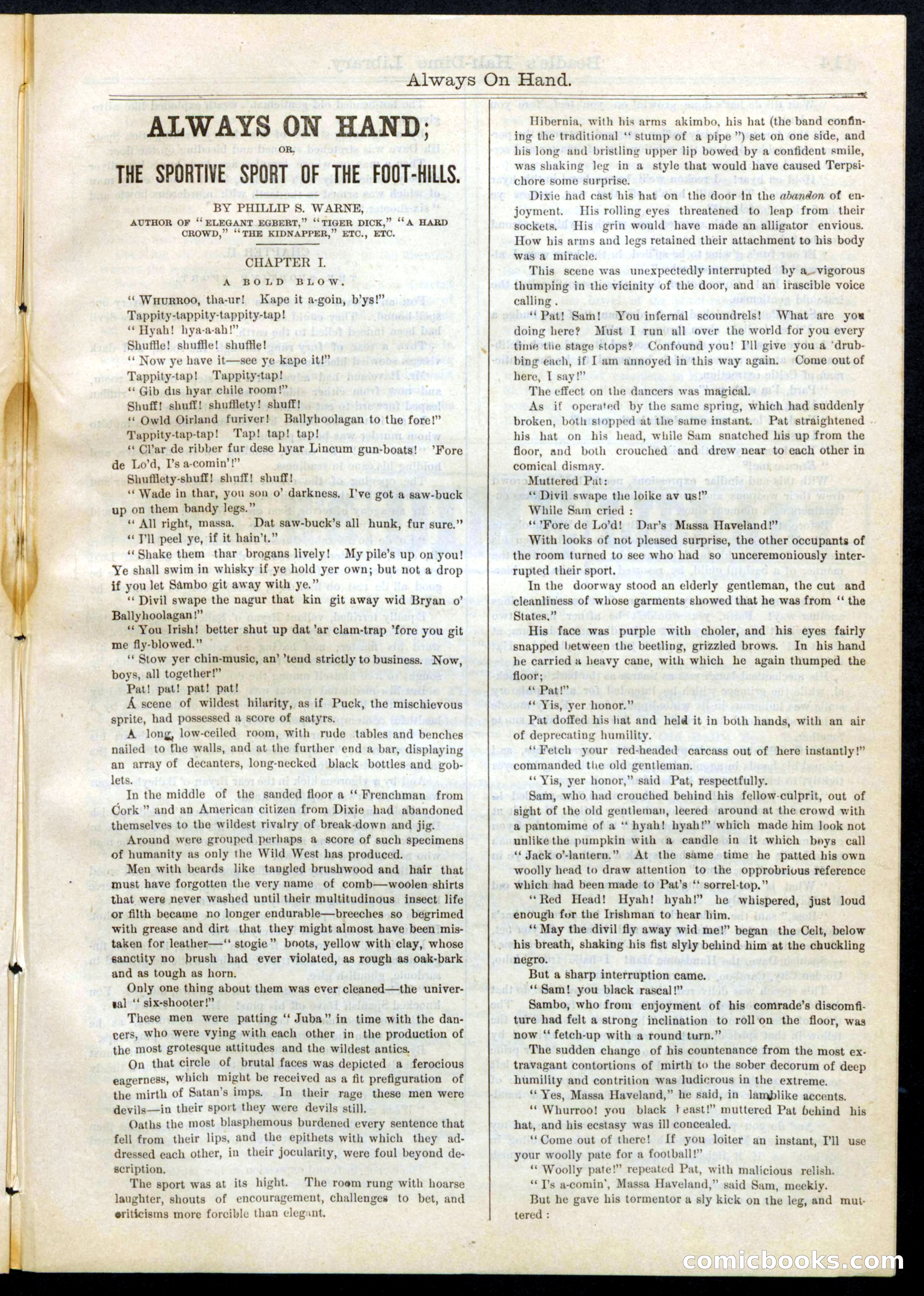 Beadle's Half Dime Library, No. 67 — page 13 of 16