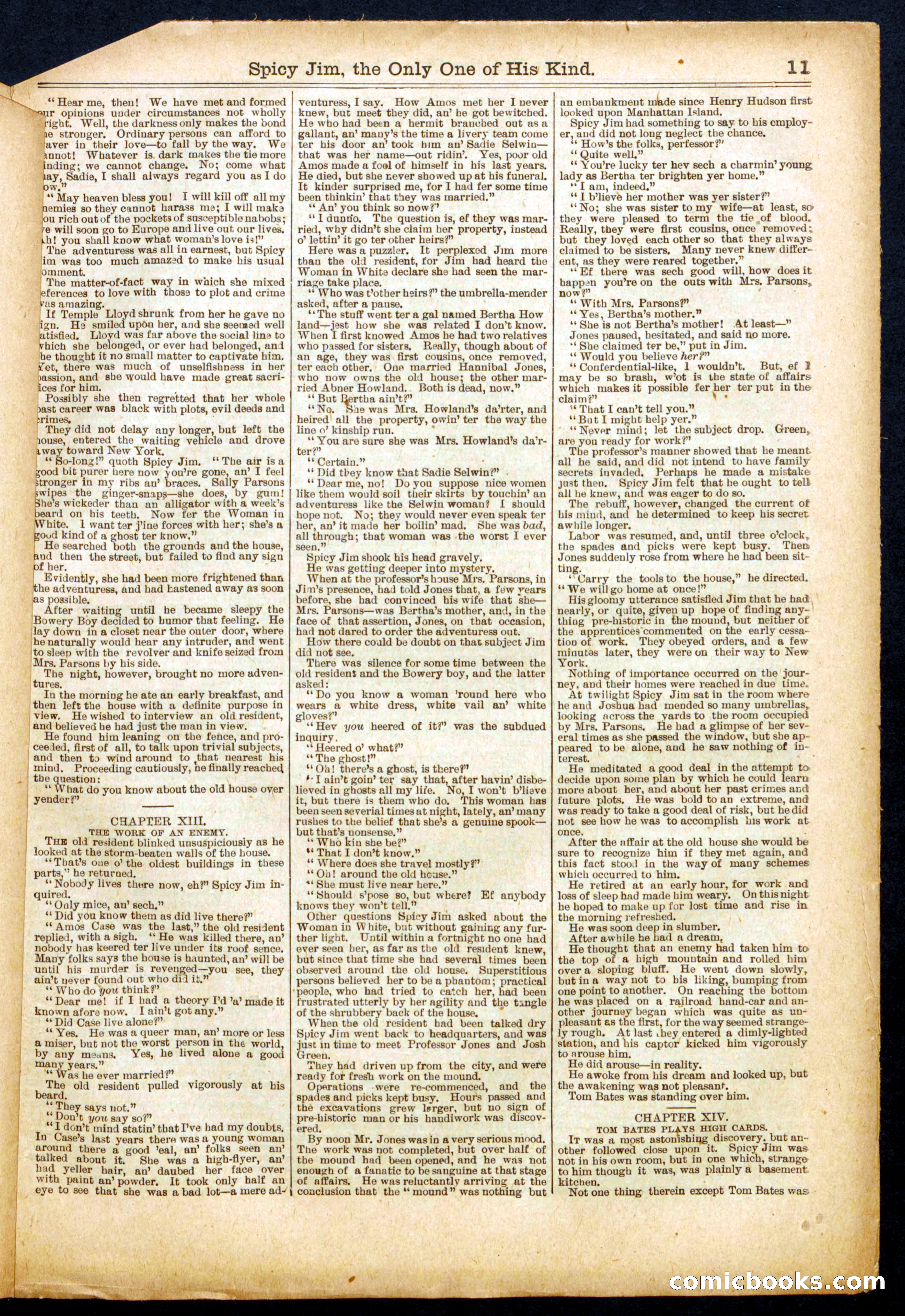 Beadle's Half Dime Library, No. 694 — page 11 of 16