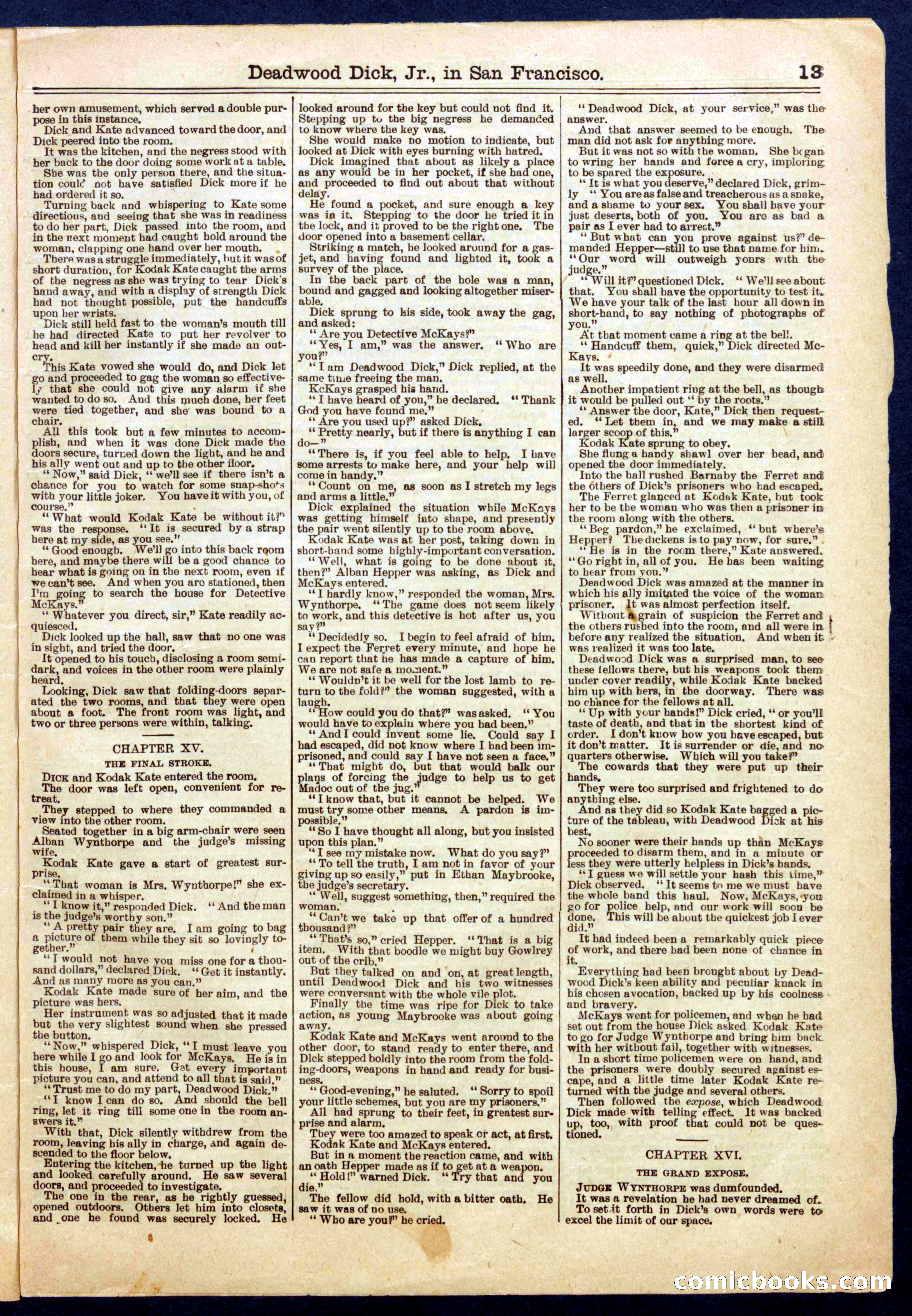 Beadle's Half Dime Library No. 710 — page 13 of 16