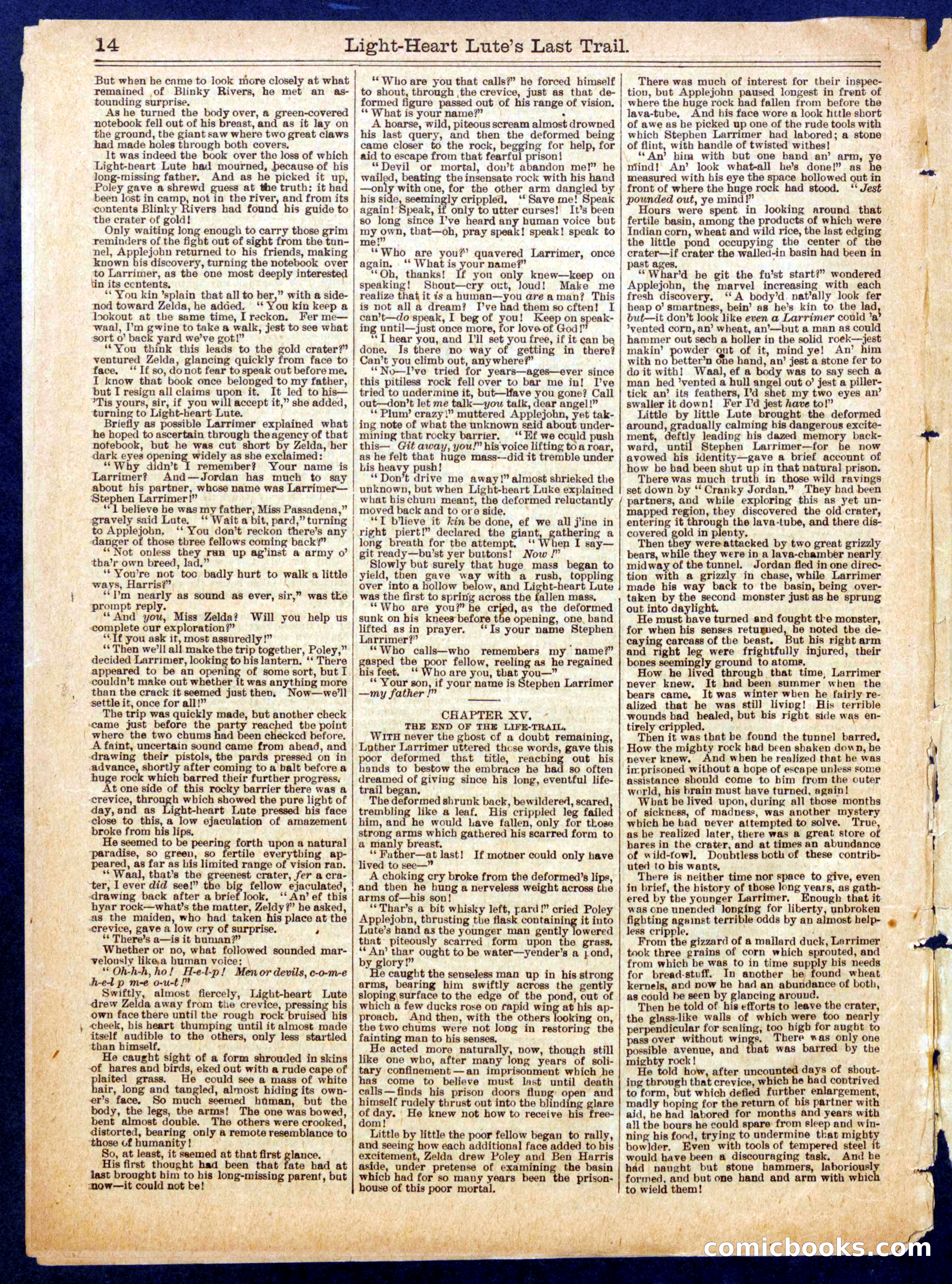 Beadle's Half Dime Library, No. 718 — page 14 of 16