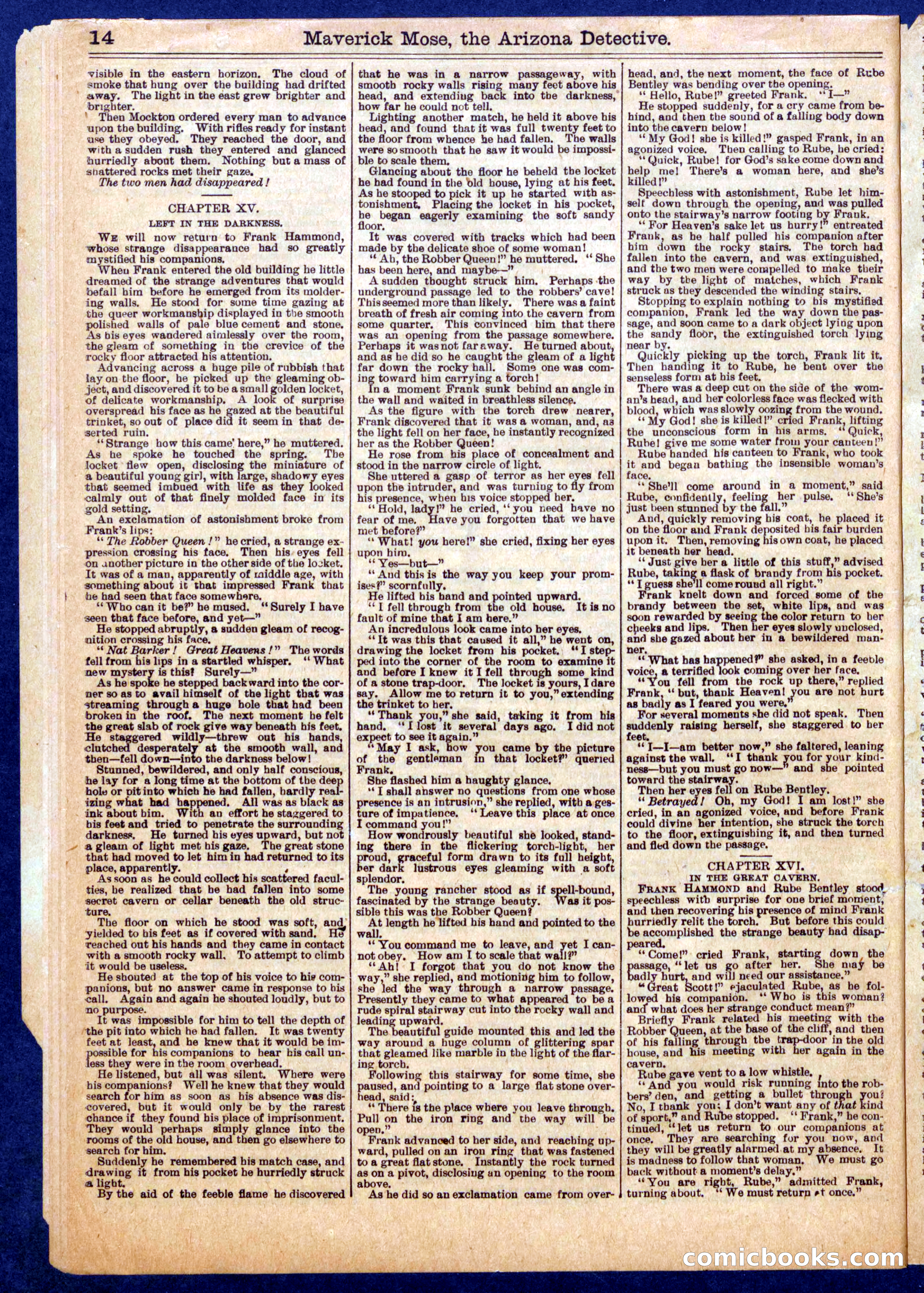 Beadle's Half Dime Library No. 721 — page 14 of 16