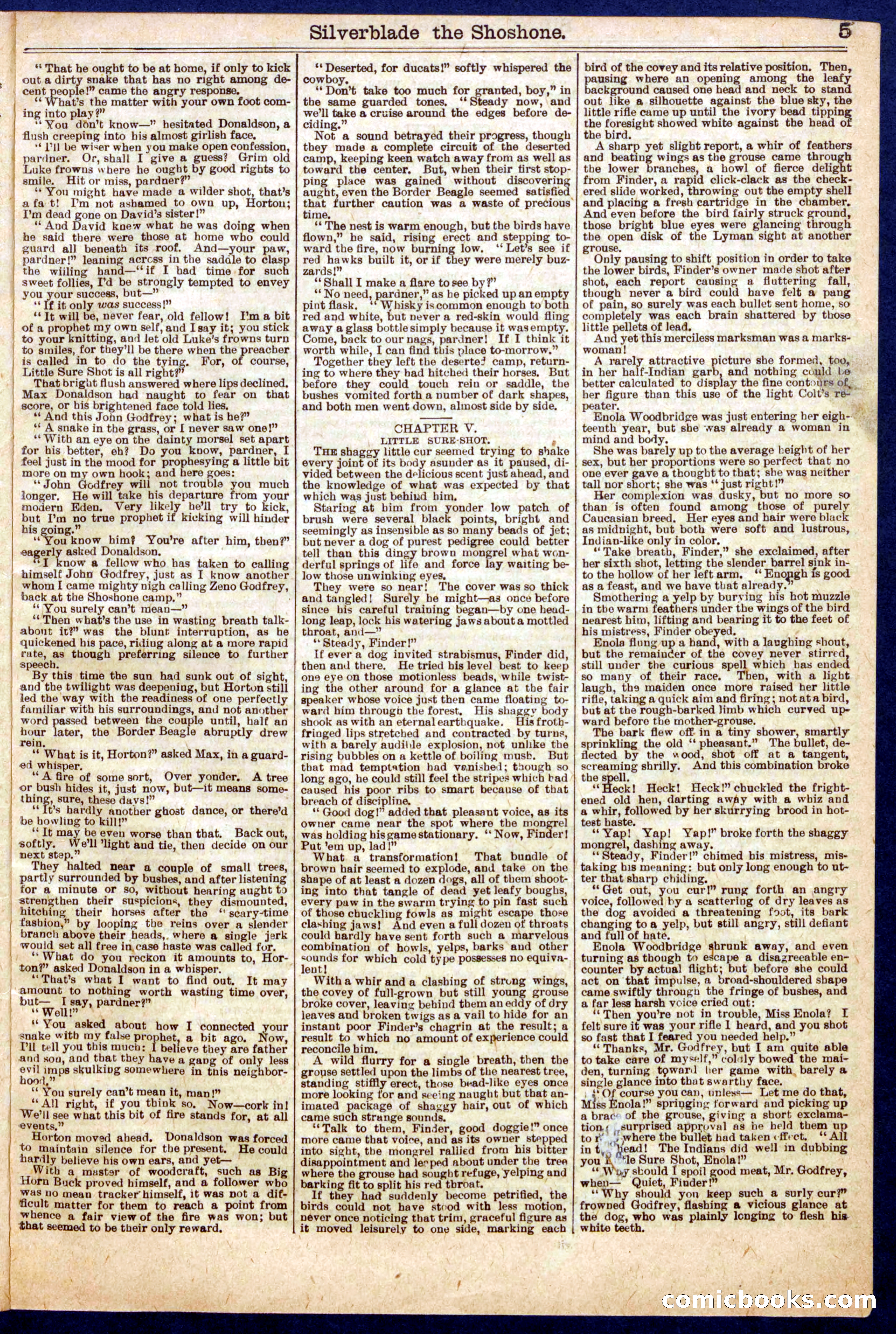 Beadle's Half Dime Library No. 723 — page 5 of 16