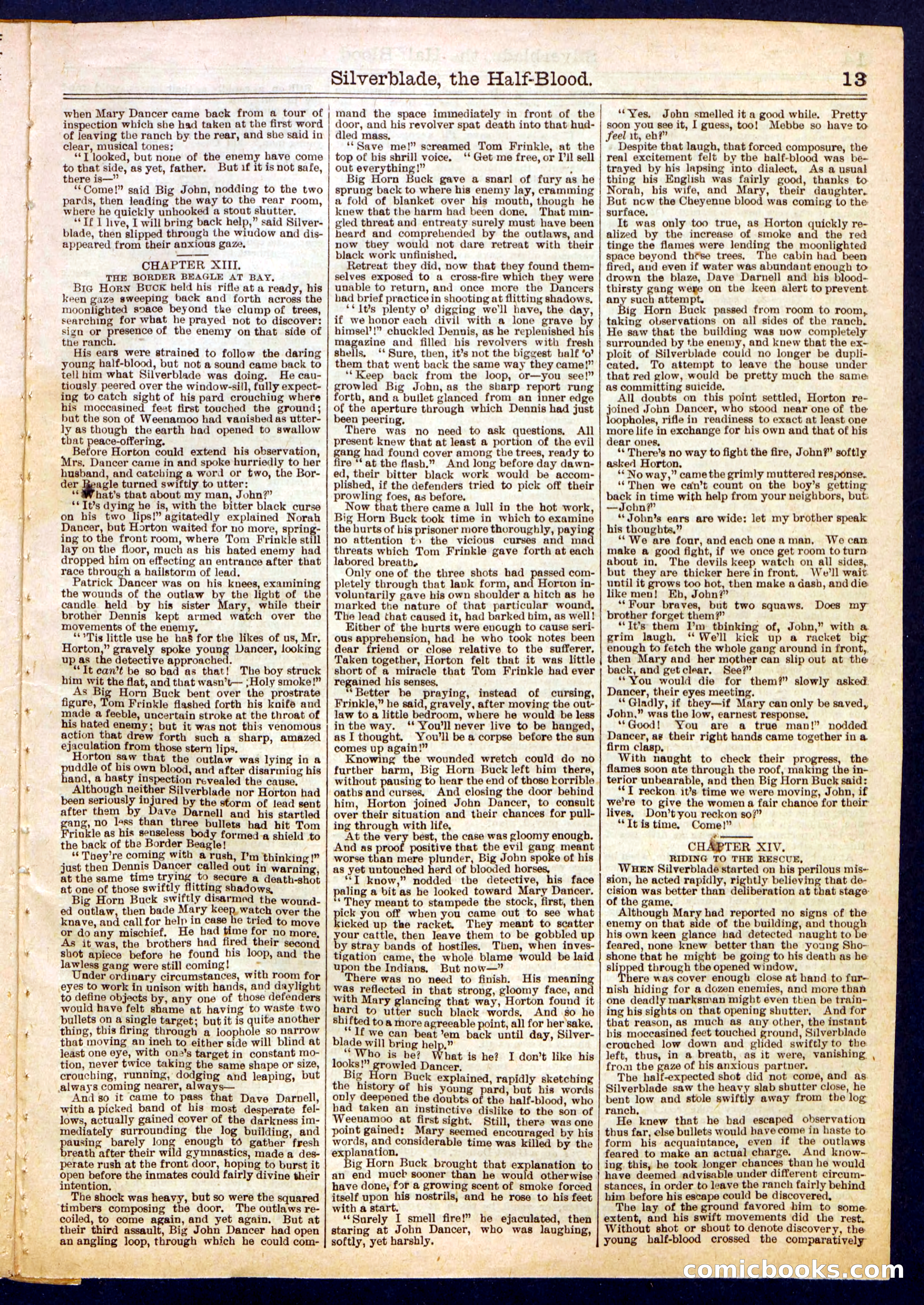 Beadle's Half Dime Library No. 729 — page 13 of 16