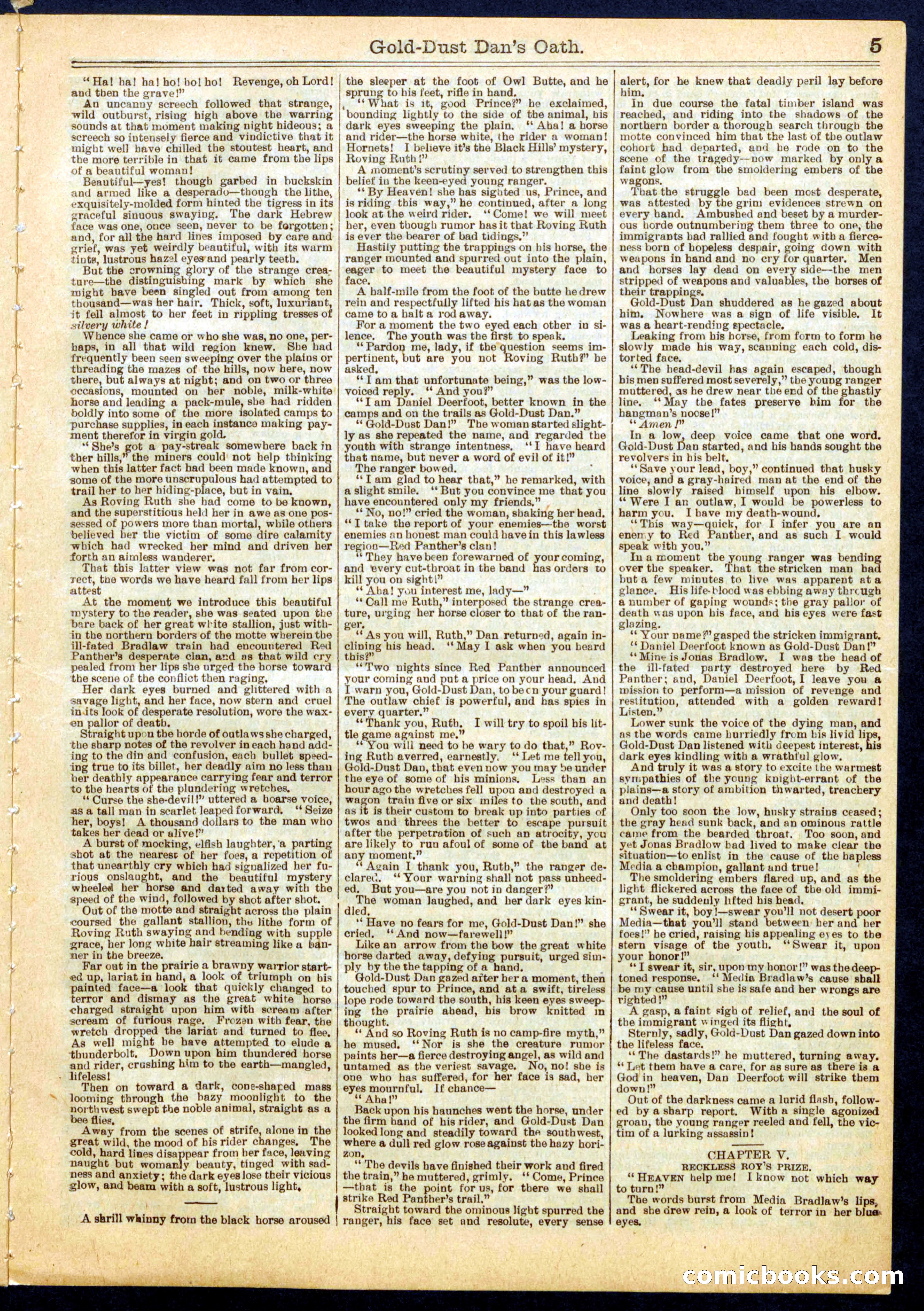 Beadle's Half Dime Library No. 755 — page 5 of 16