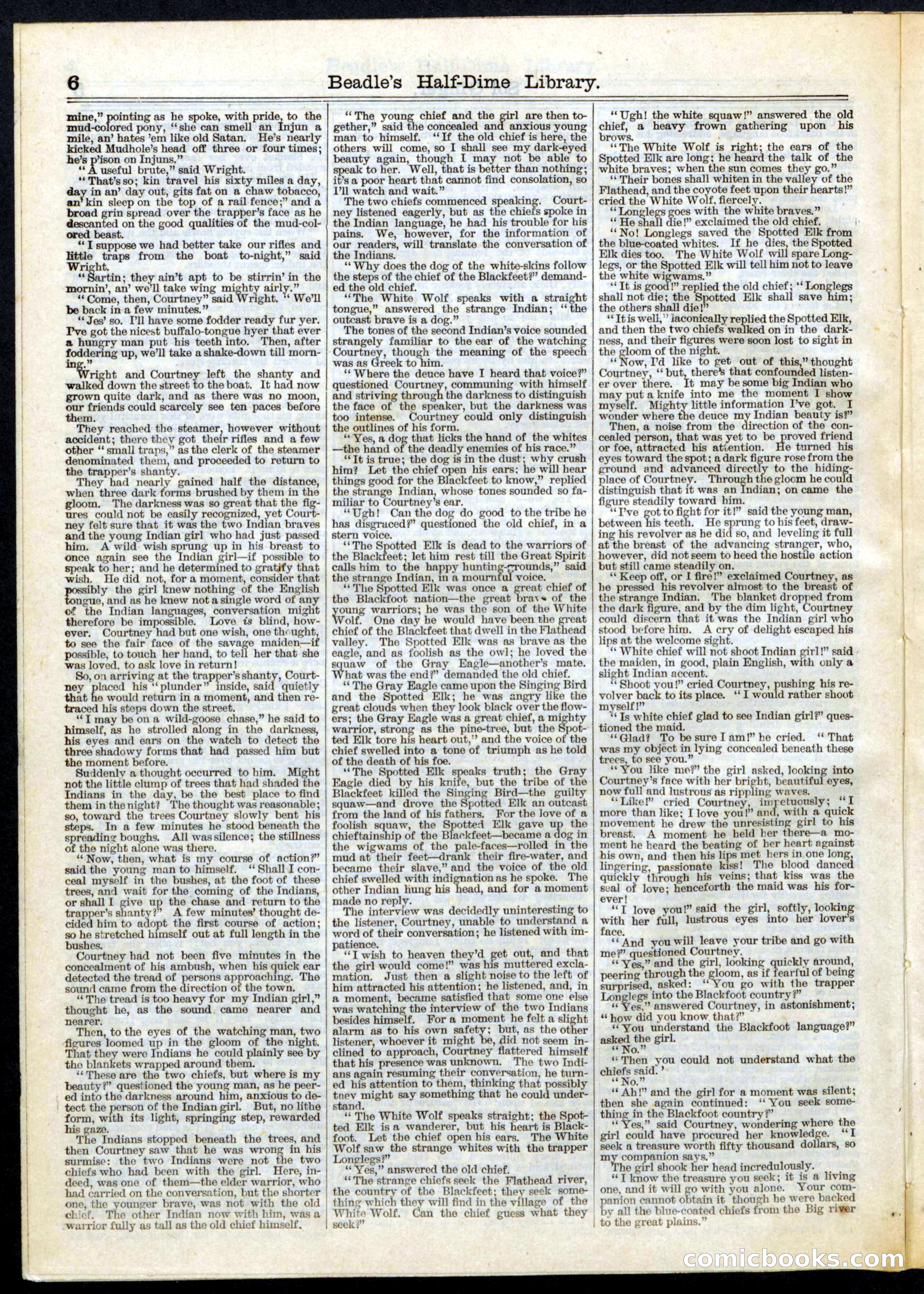 Beadle's Half Dime Library, No. 79 — page 6 of 16